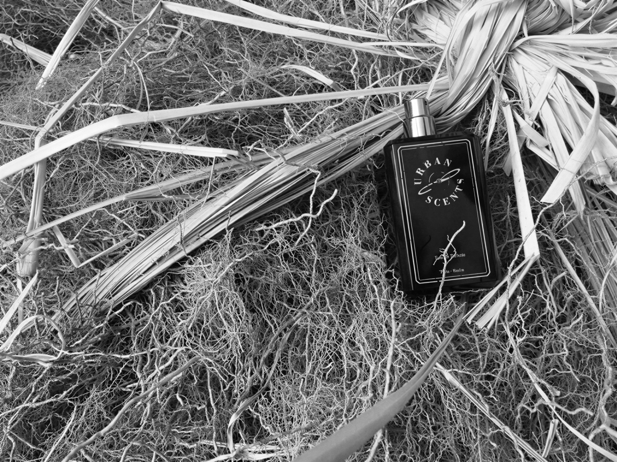 A close-up black and white photograph of a bundle of Vetiver, with a rectangular label that reads "URBAN SCENT".