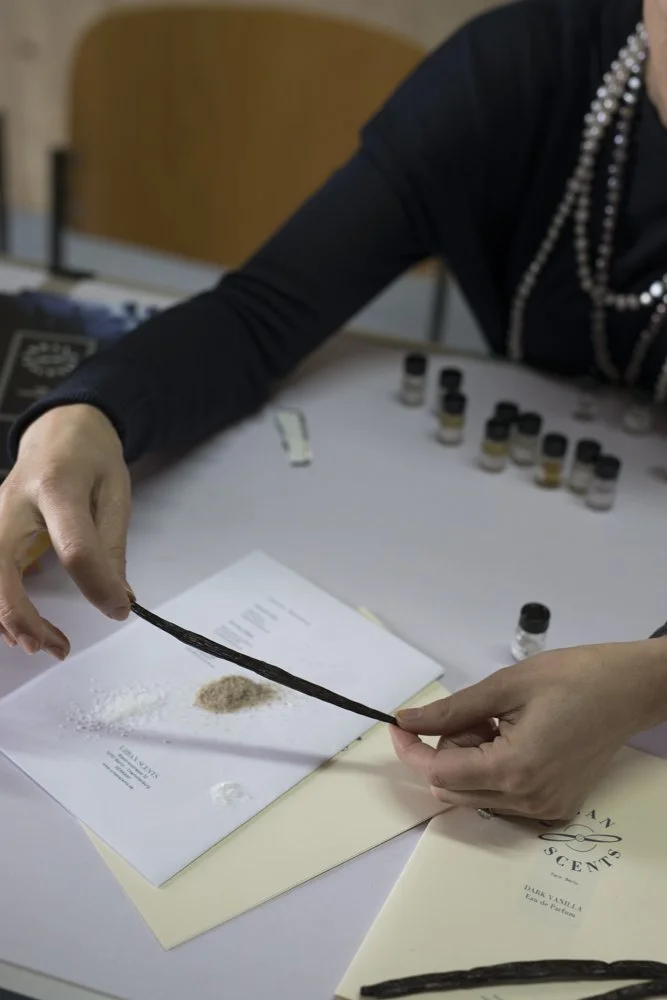 Person holding a vanilla bean pod over a book, with small bottles of essential oils and notes on the table.
