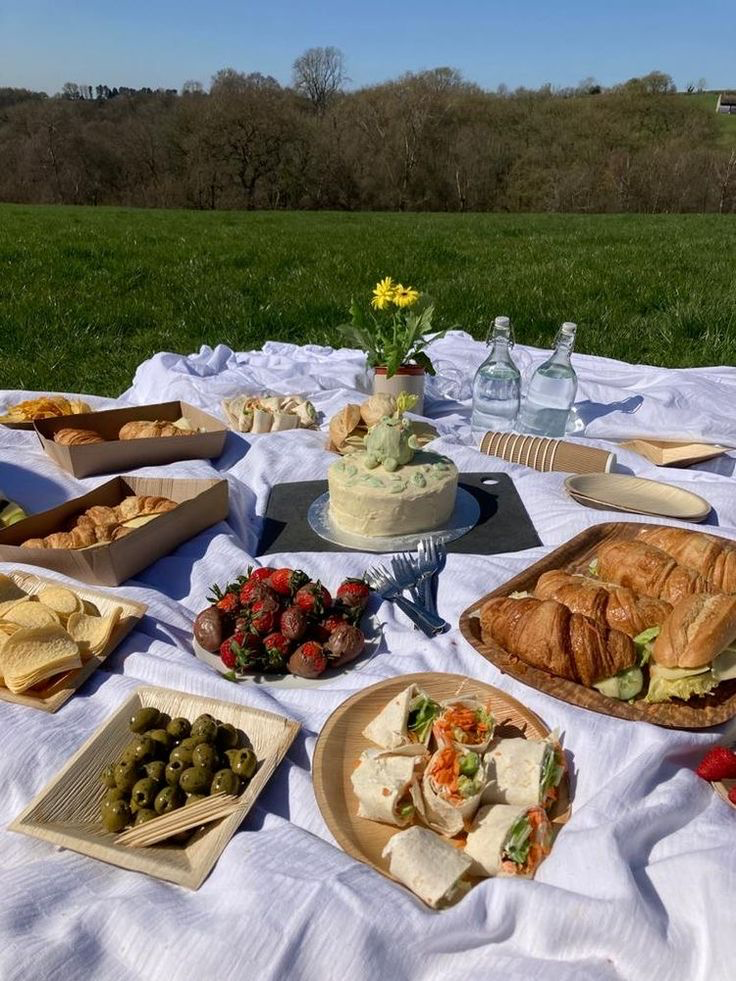 So sorry! - Summer Picnic event is CANCELLED