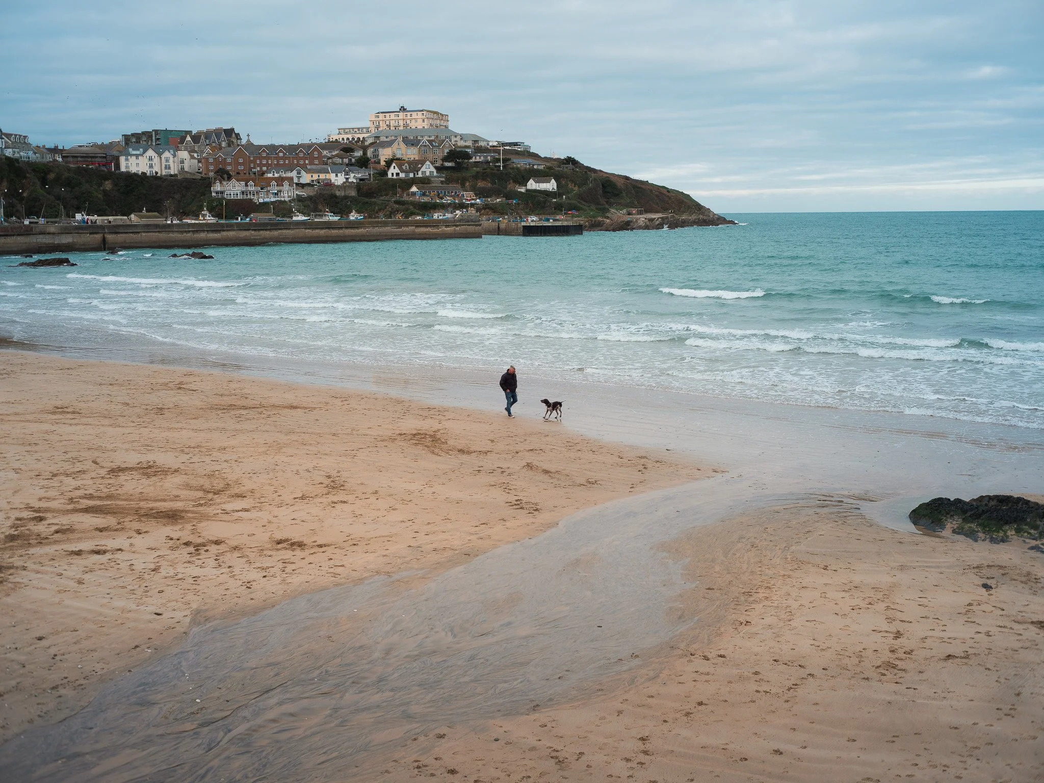A person walking a dog on a sandy beach with gentle waves, overlooking a coastal town with colorful buildings on a hill under a partly cloudy sky.