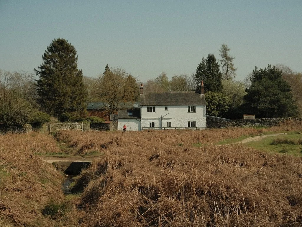 A rural landscape with a white two-story house surrounded by trees and bushes, with a grassy field and a small stream or drainage ditch in the foreground.