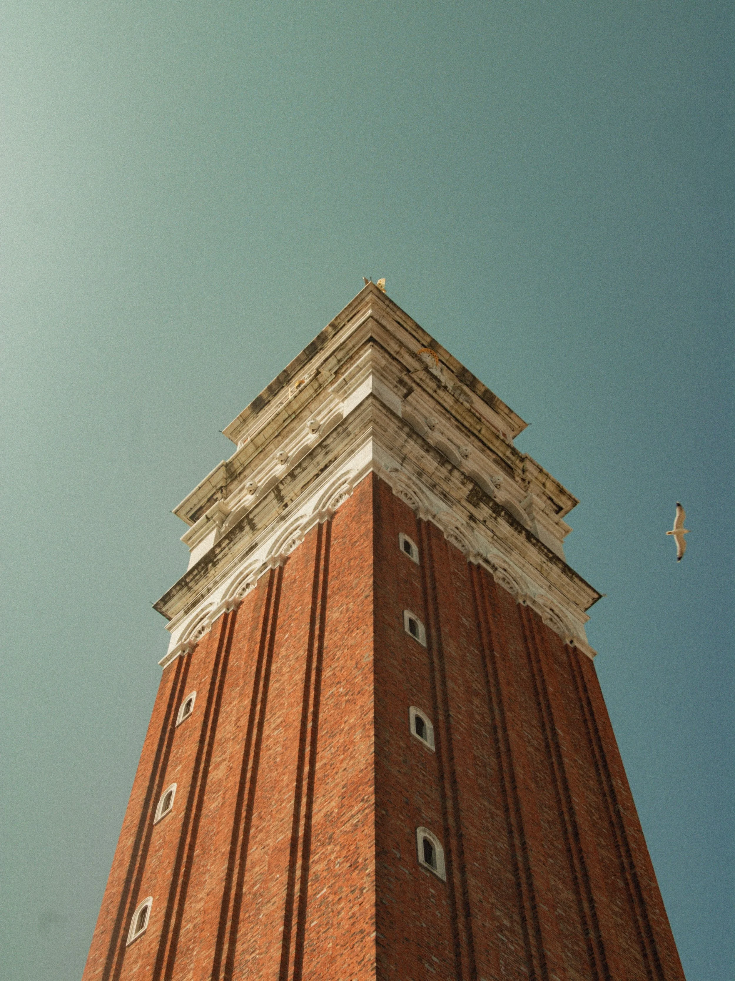 Low-angle view of a tall brick tower with decorative white accents at the top, set against a clear sky with a seagull flying nearby.