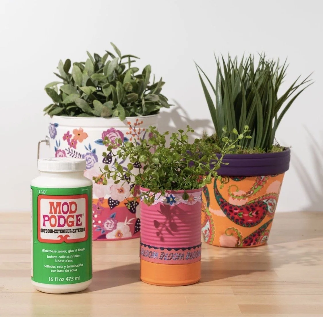 Bloom & Create  Art lab 6/11/26 Thursday