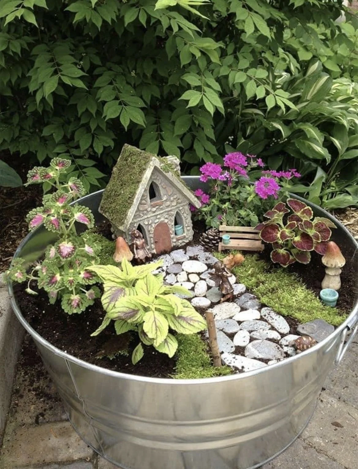 mini garden 2.jpg