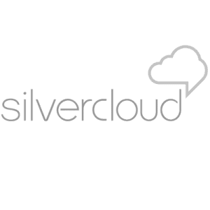 imgi_31_SilverCloud-300x300.png