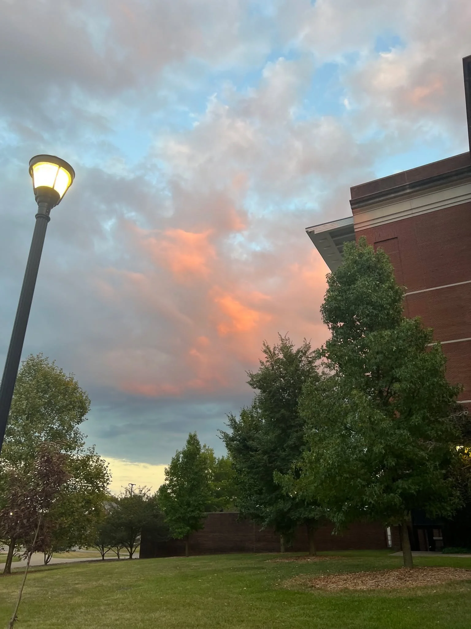 Study days feel easier when Willy T is just minutes from where you call home. 📚

#CampusCourtLexington #UKYLife #CollegeStudy #StudentApartments