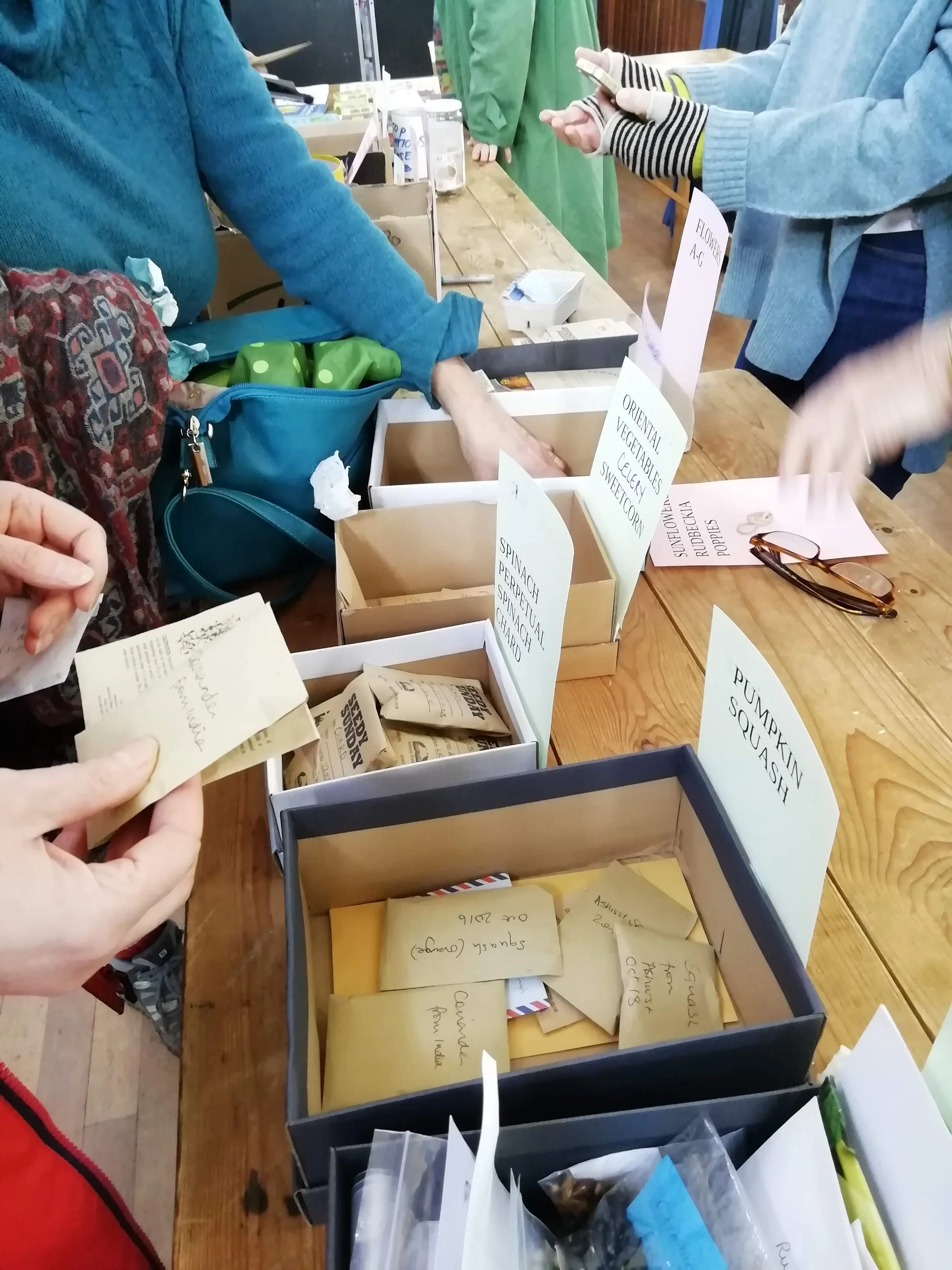 Seed swap.jpg