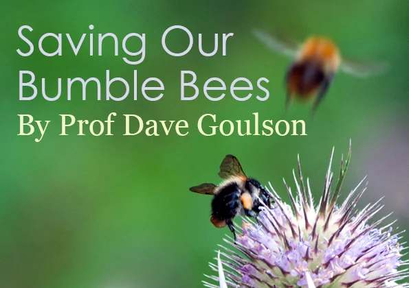 Saving Our Bumble Bees 2.jpg