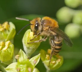 AdobeStock_235330341.jpeg