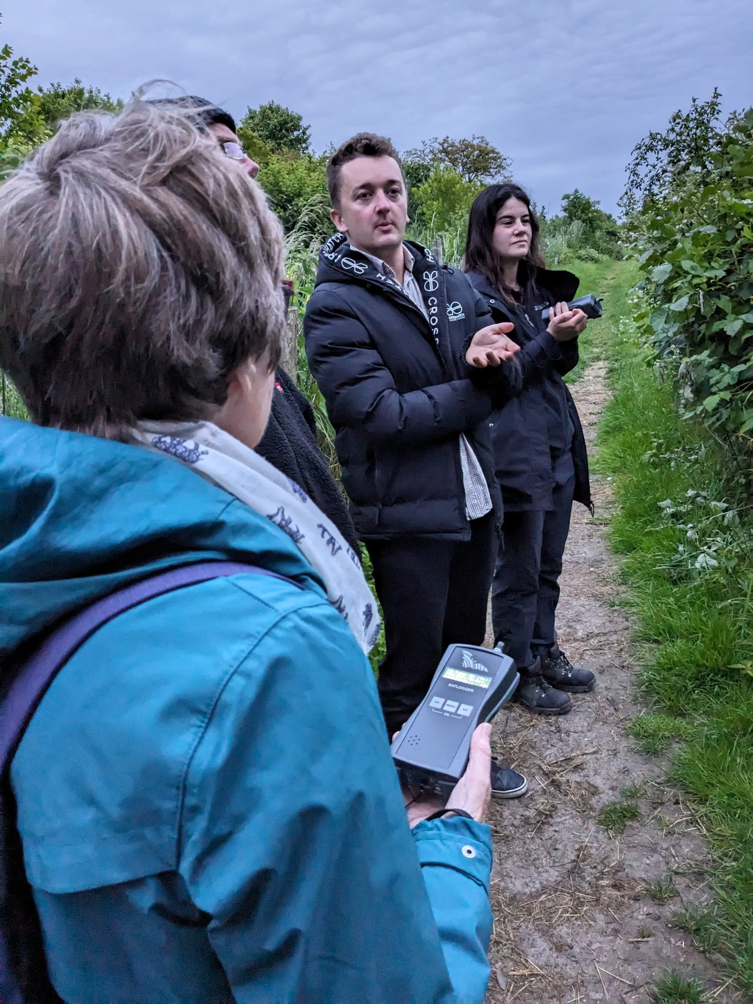 Bat transect Haredean 4Jun24.jpg