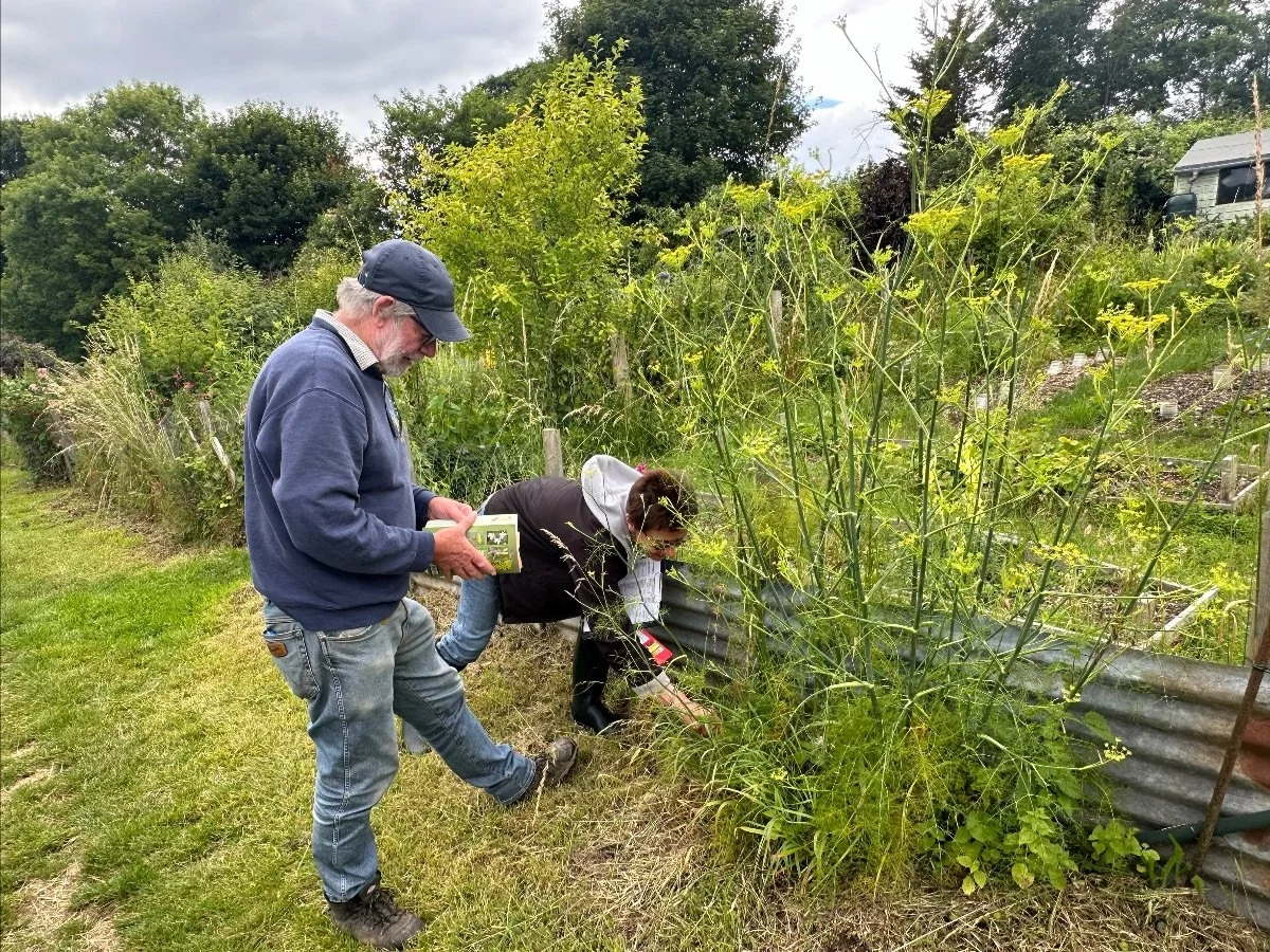 Wildflower survey Haredean 12July24.jpeg