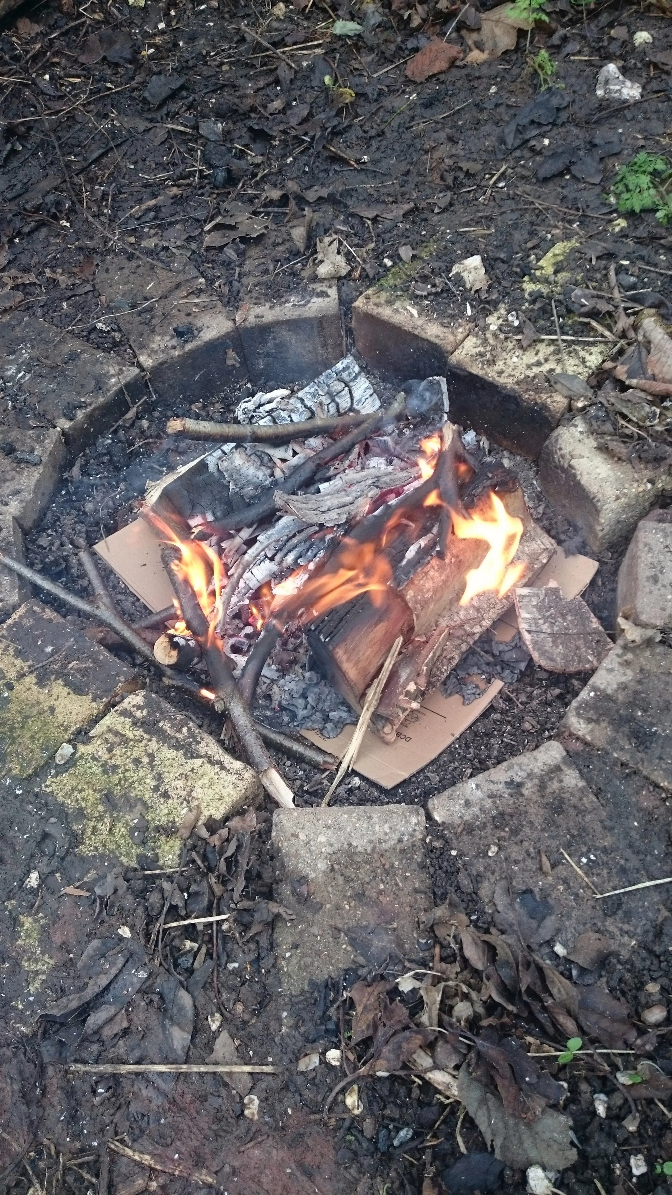 fire-and-christmas-feast-fire-loap.jpg