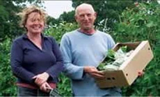 Ashurst Organics