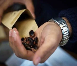 Seed Swap
