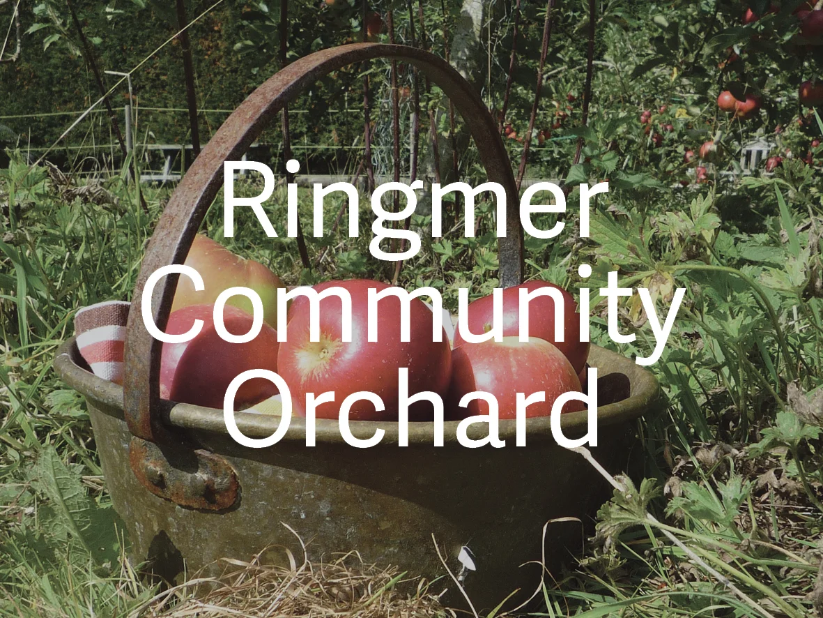 Ringmer Community Orchard Events Gateway.jpg