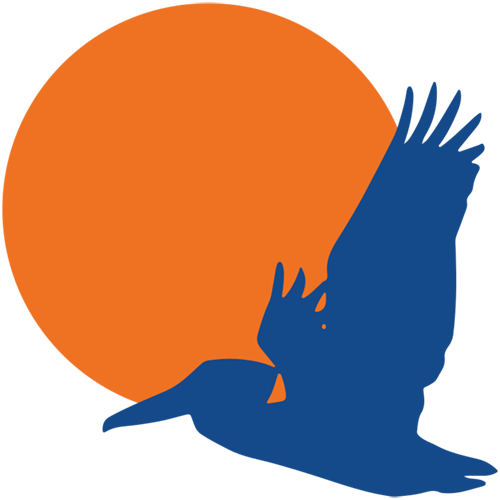American Solidarity Party icon