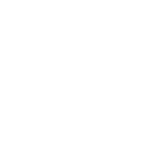 Icon of a globe with latitude and longitude lines