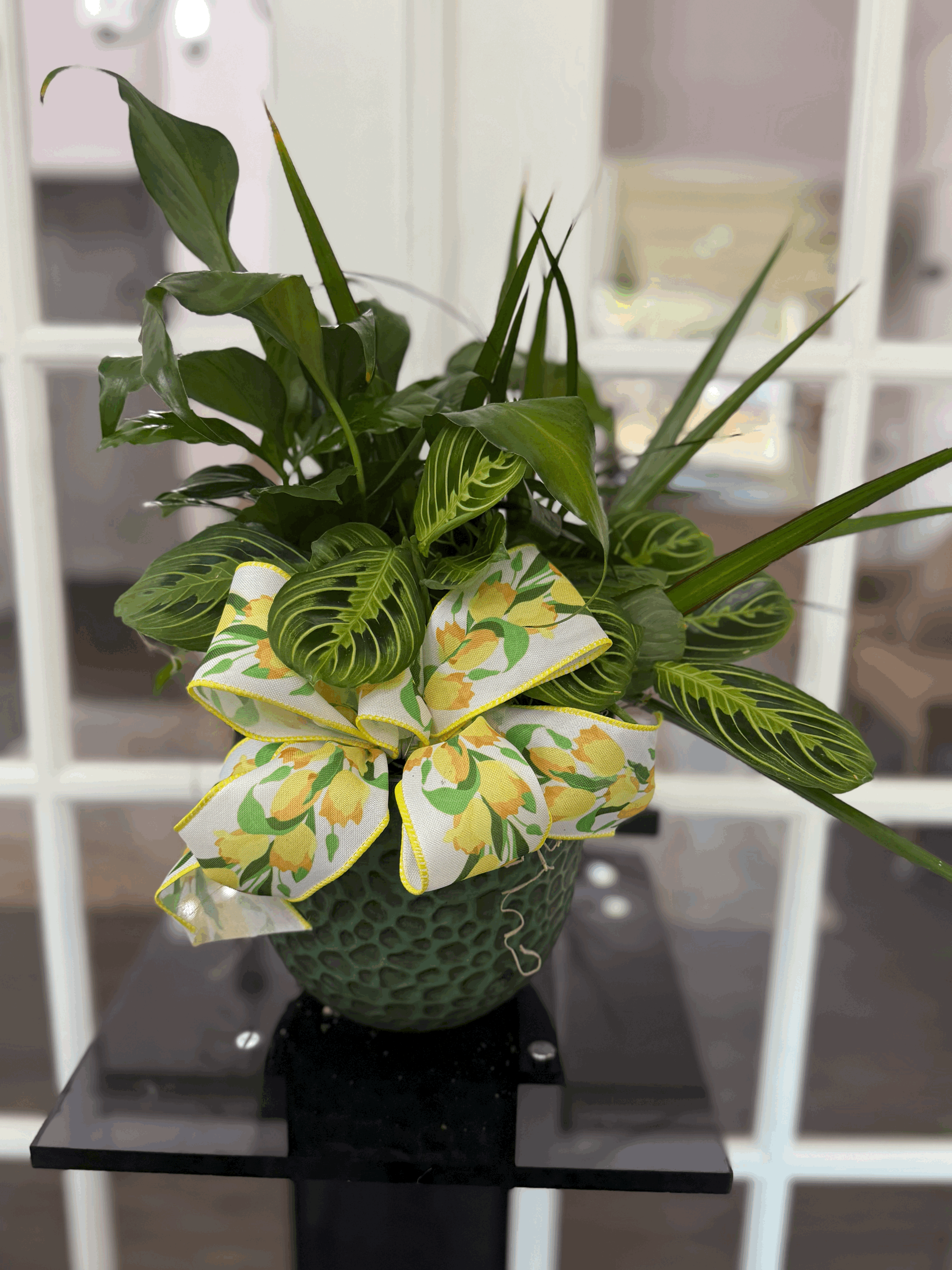 Plant Dish Garden