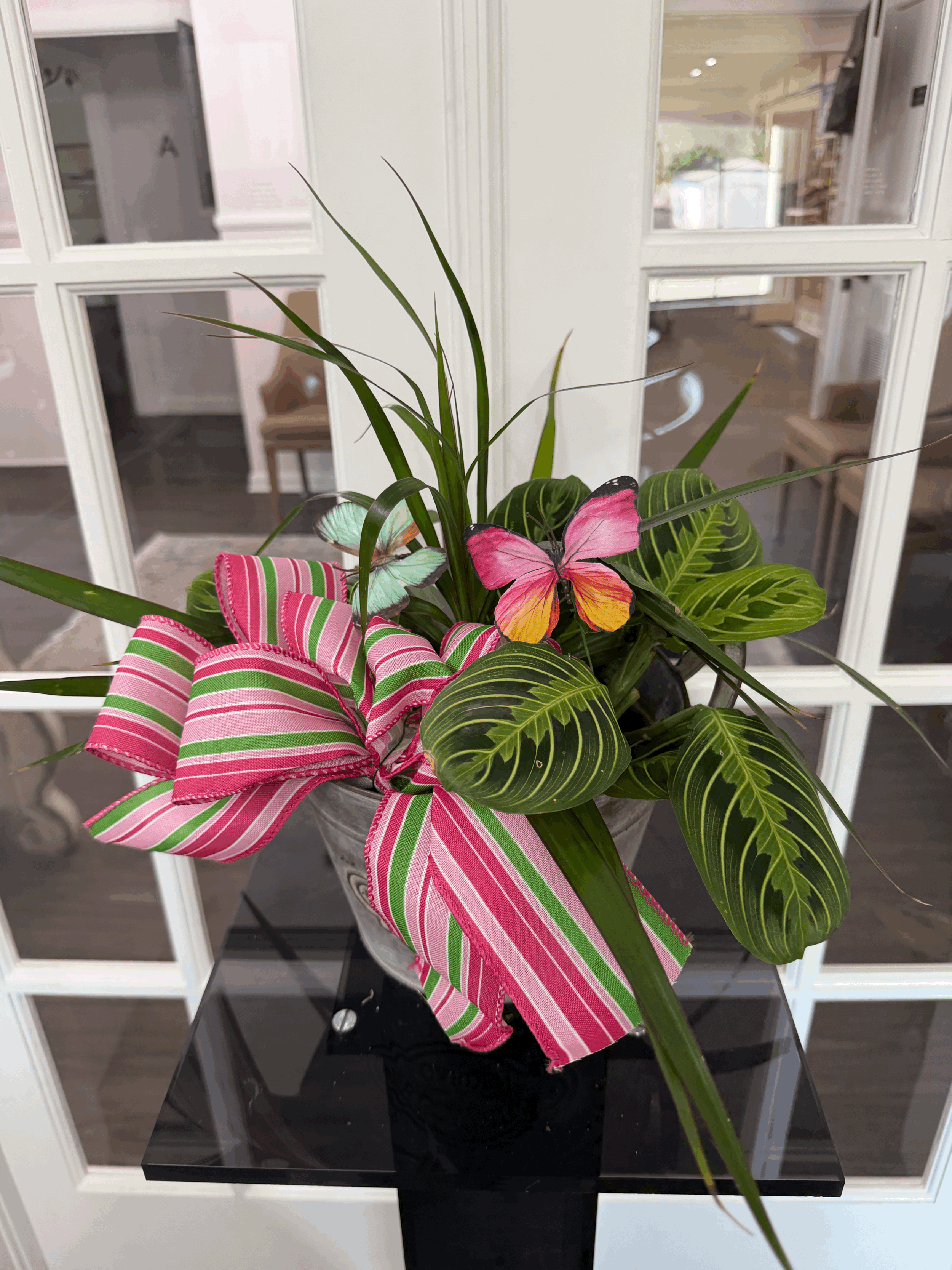 Plant Dish Garden