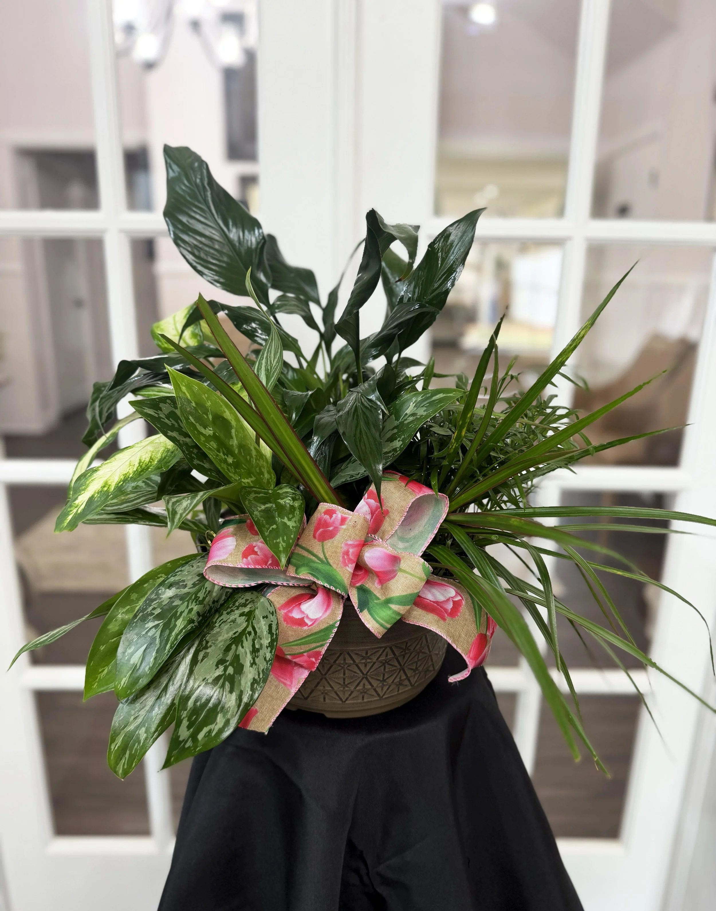 Plant Dish Garden