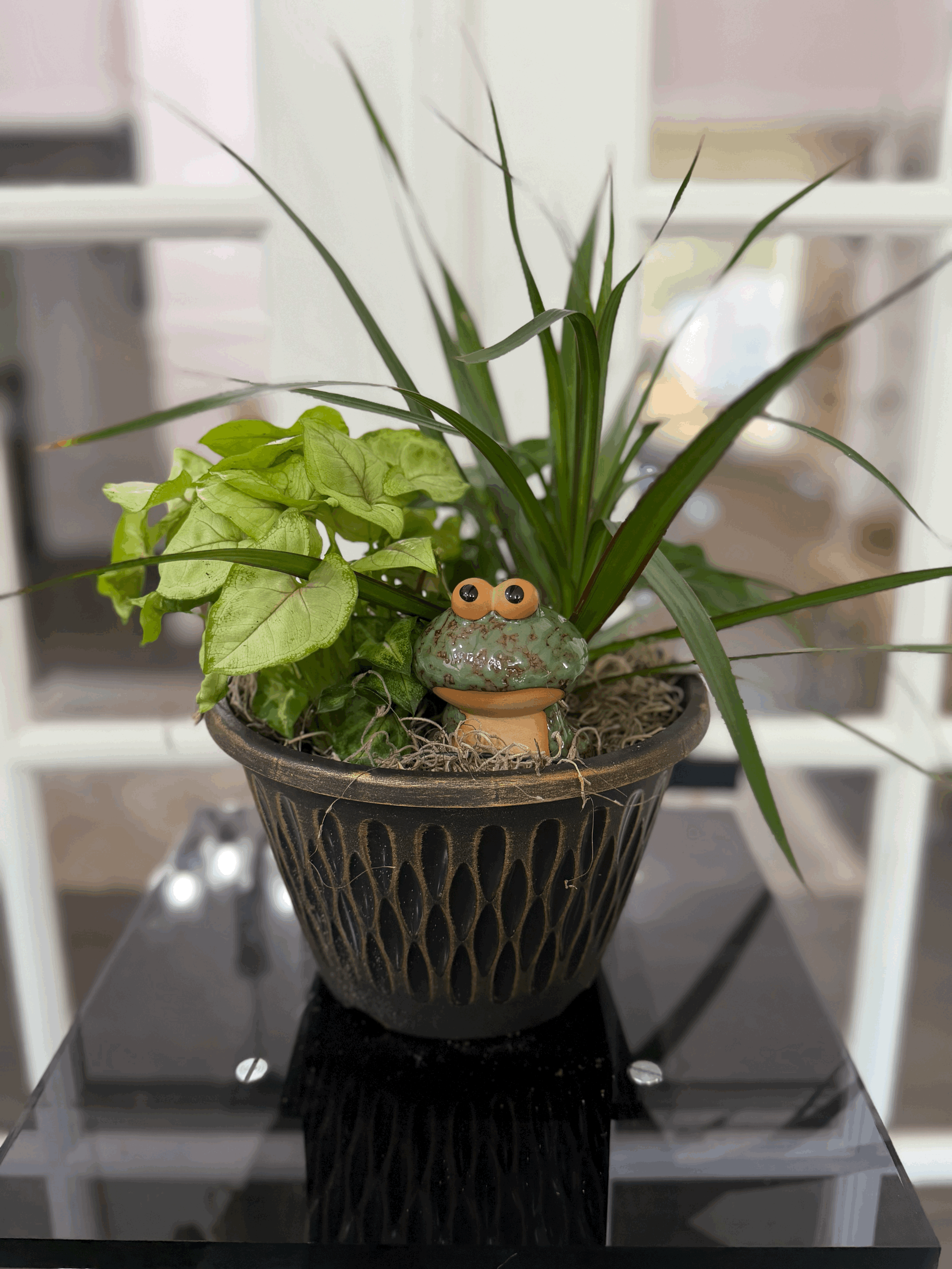 Plant Dish Garden