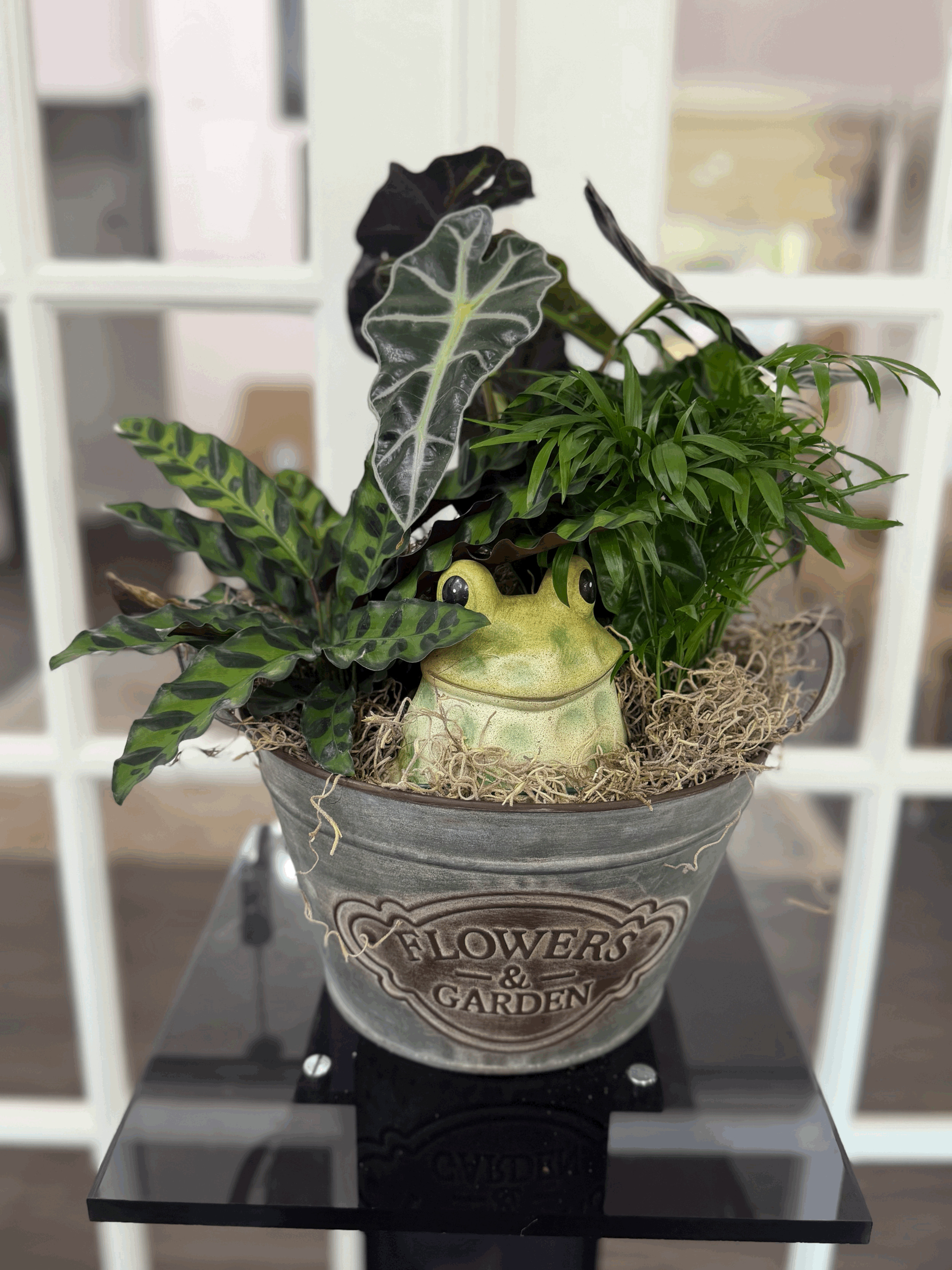 Plant Dish Garden