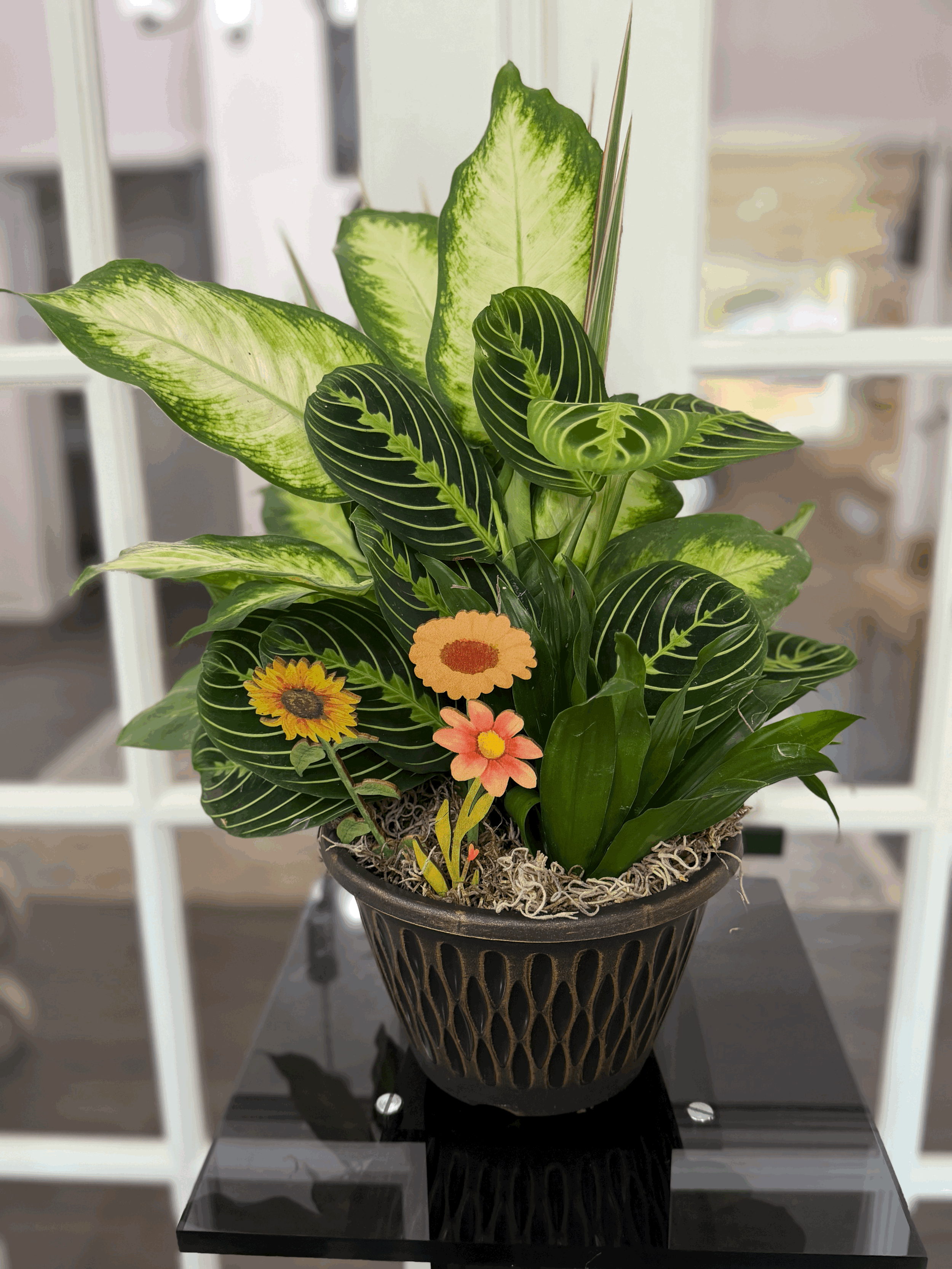 Plant Dish Garden