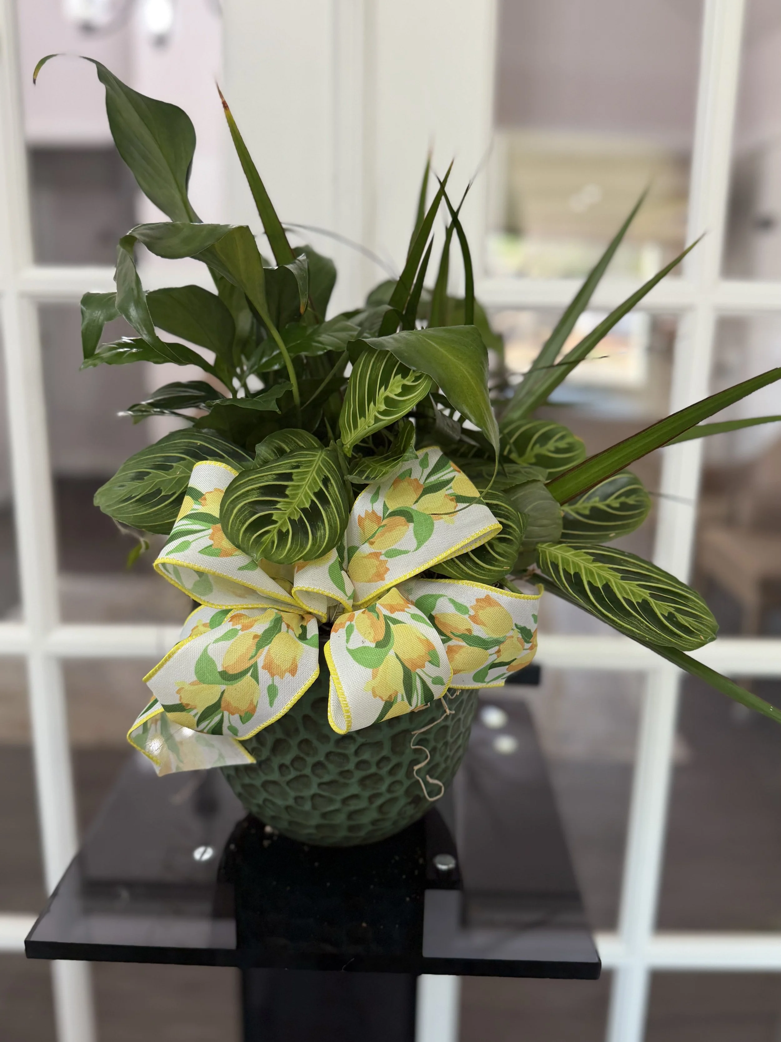 Dish_Garden_19_45.00_.jpg