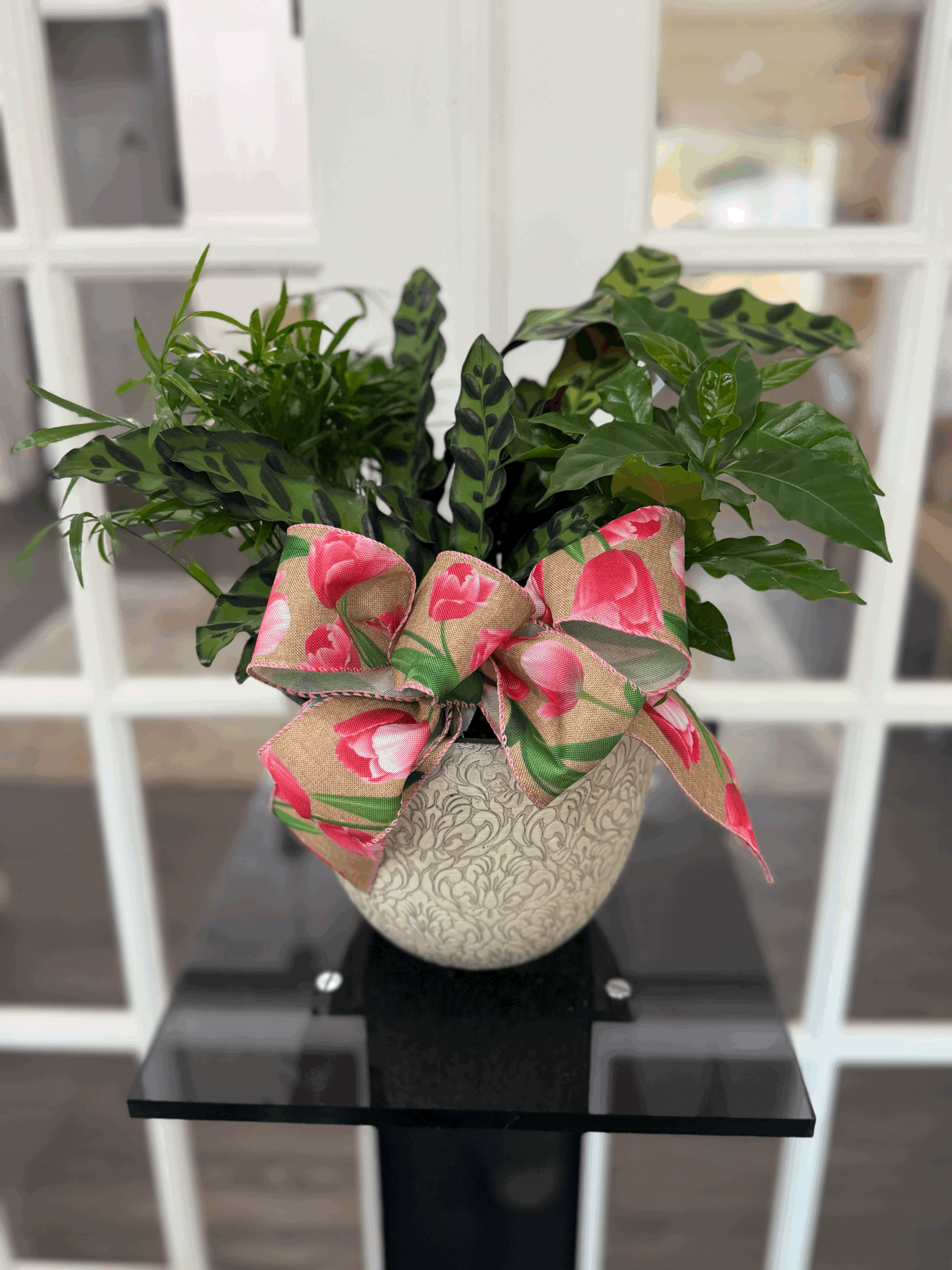 Plant Dish Garden