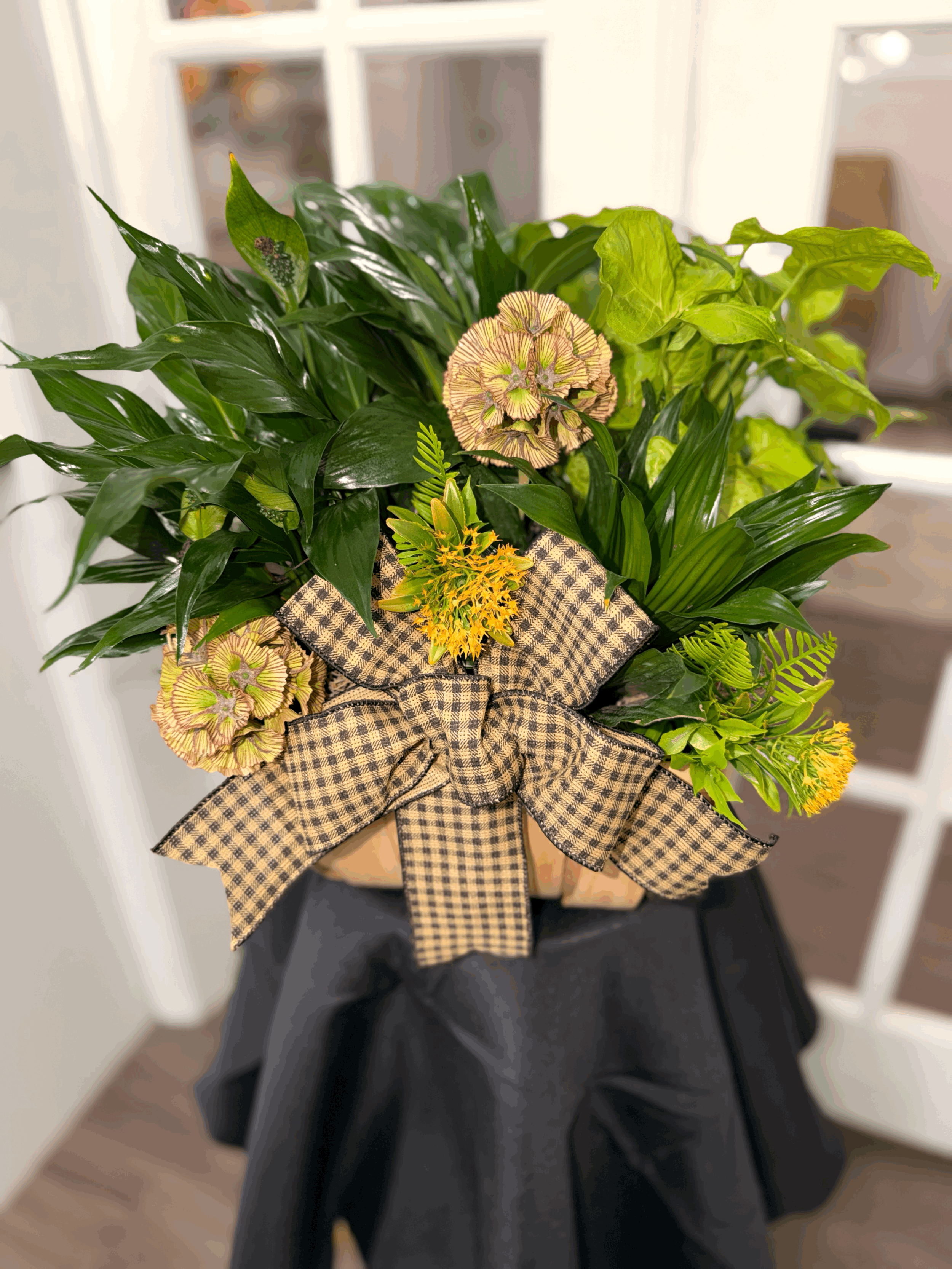 Plant Dish Garden