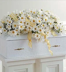 3373od_250x250.jpg