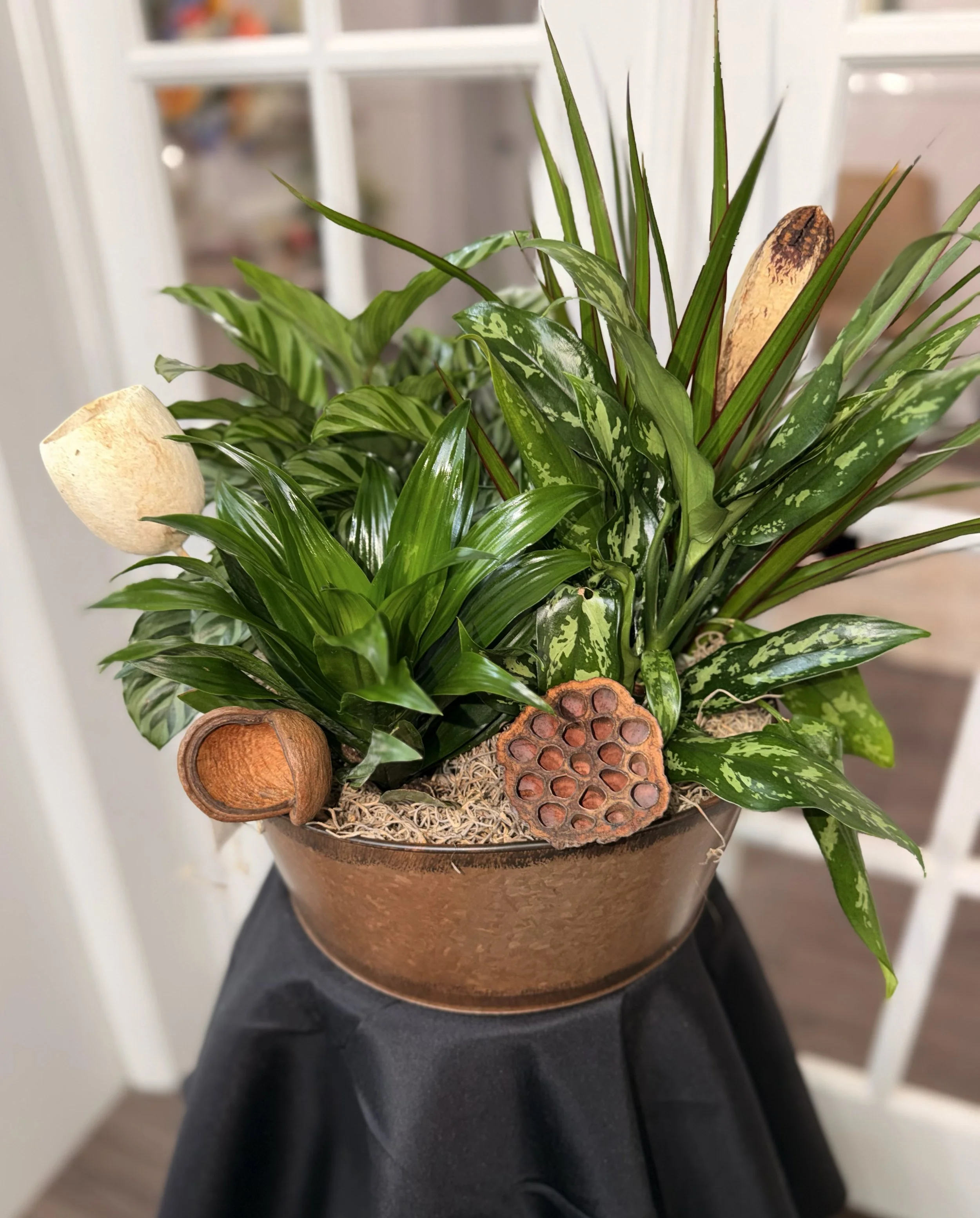 Plant Dish Garden