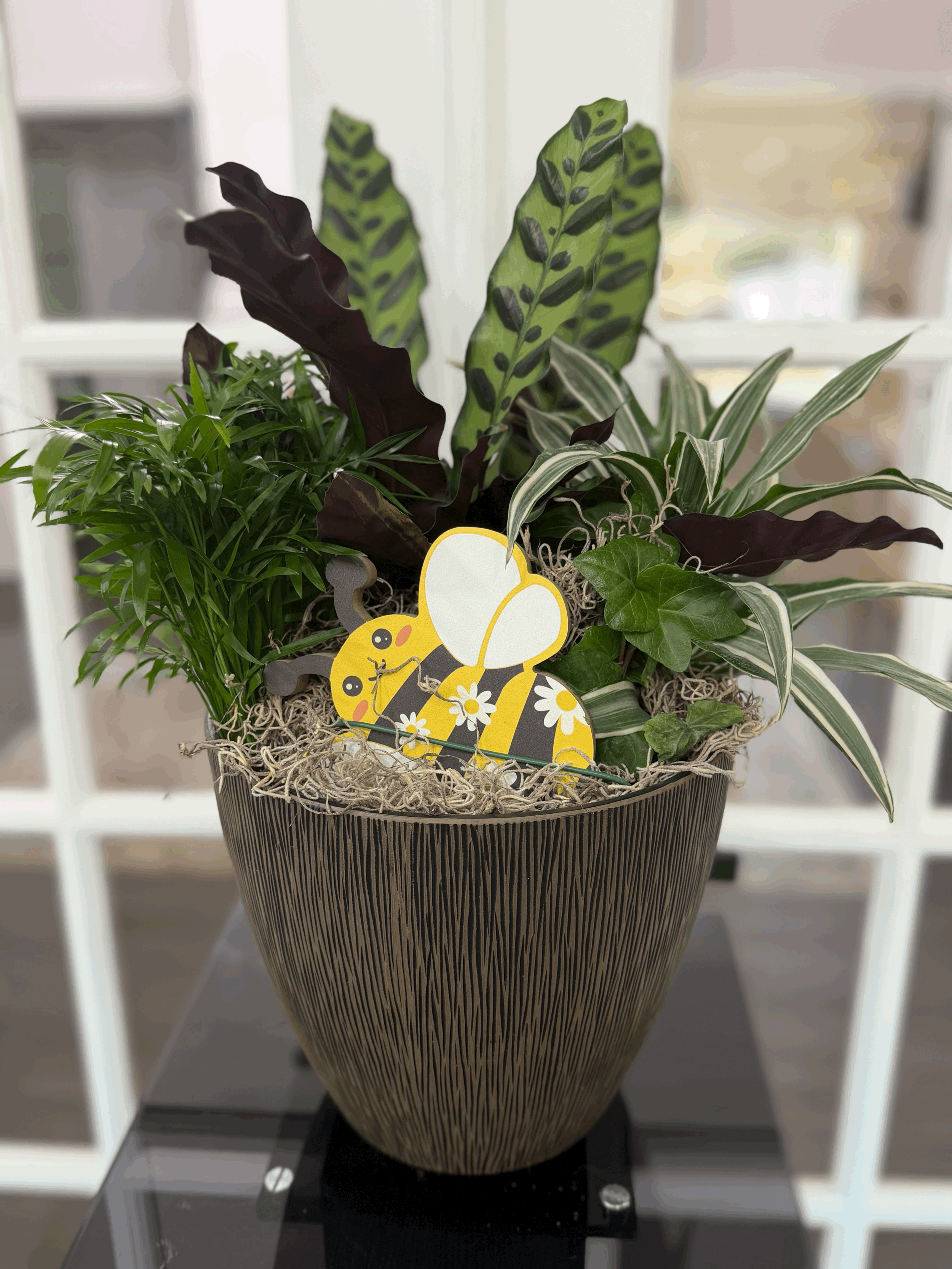 Plant Dish Garden