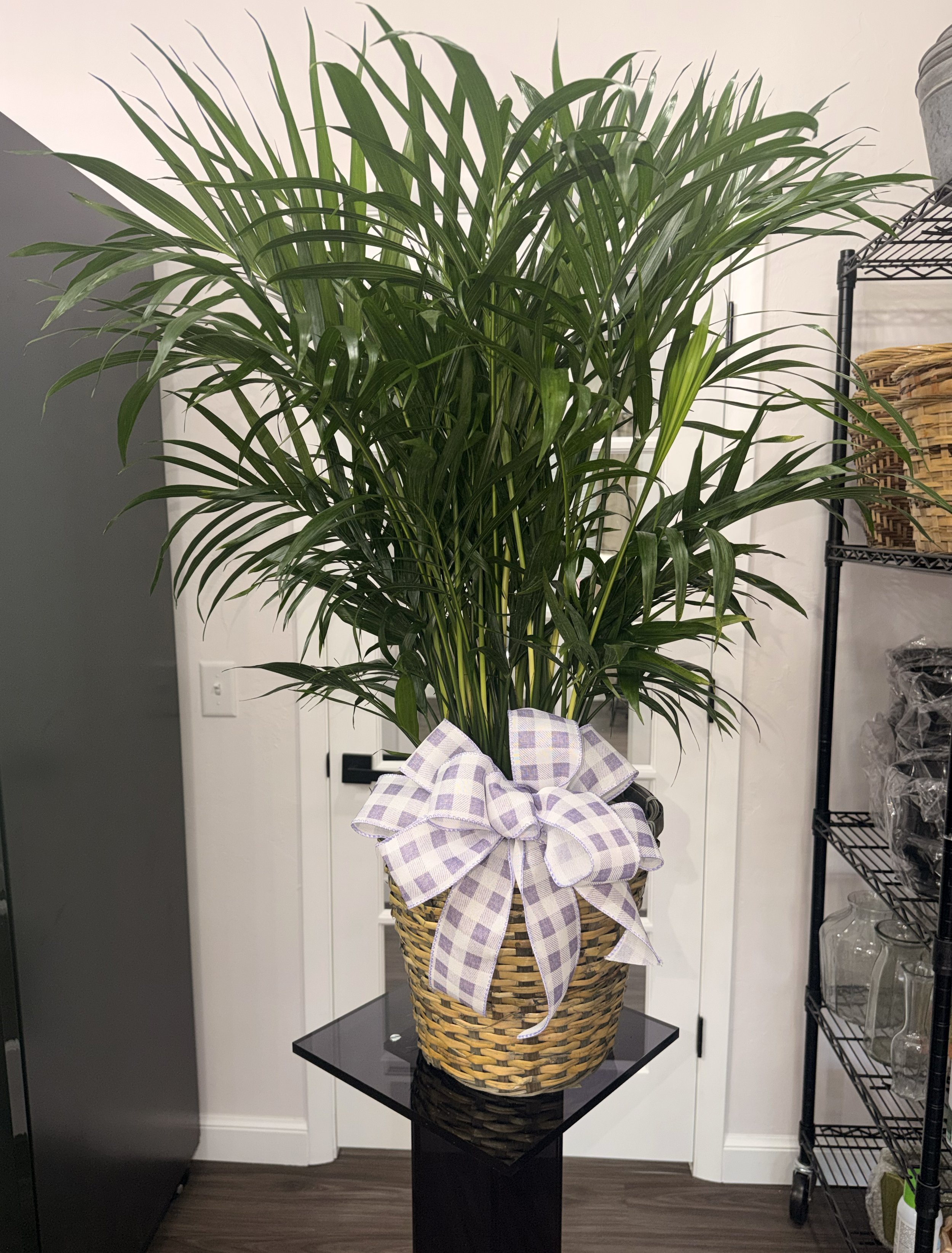 Plants