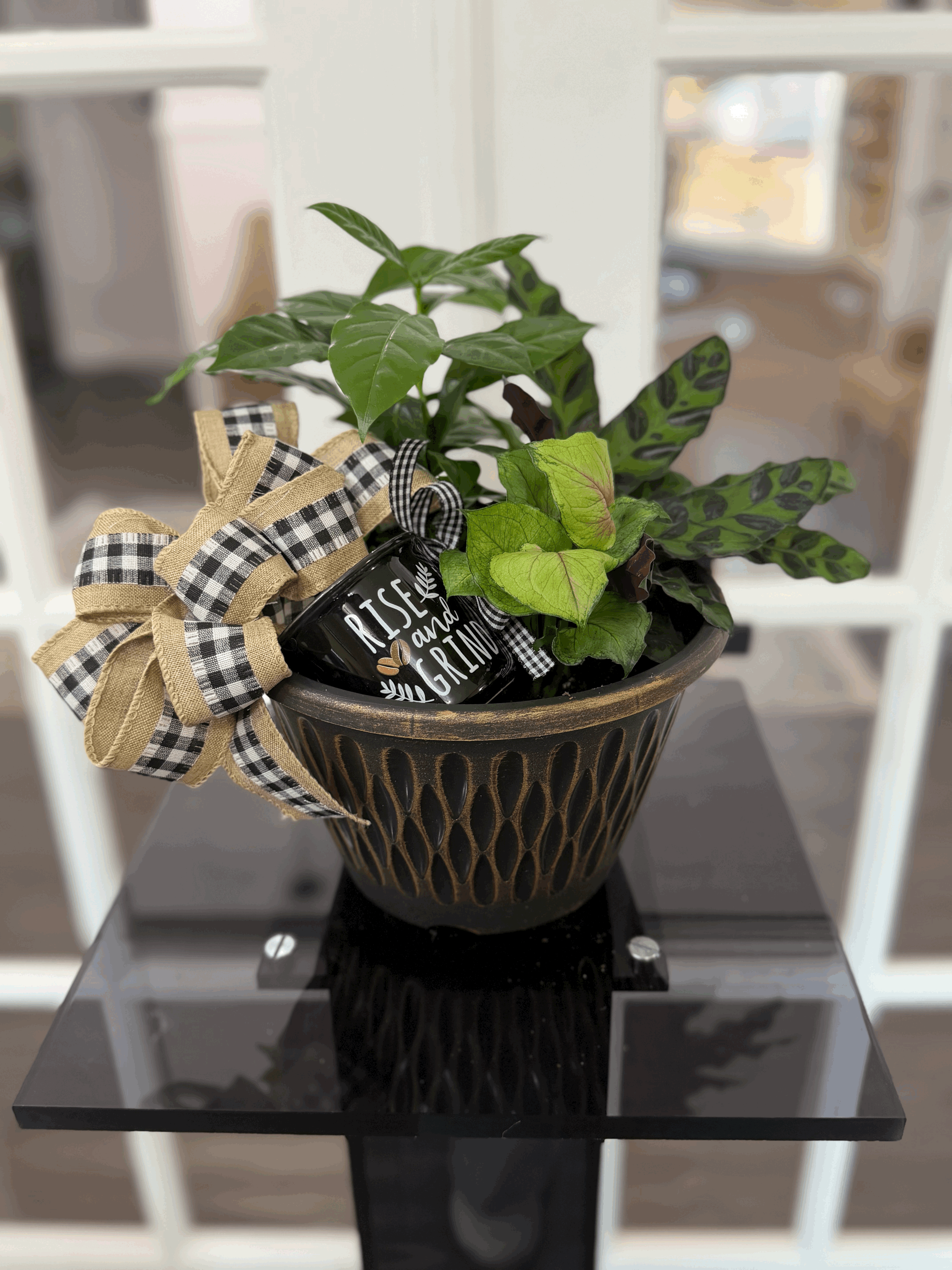 Plant Dish Garden