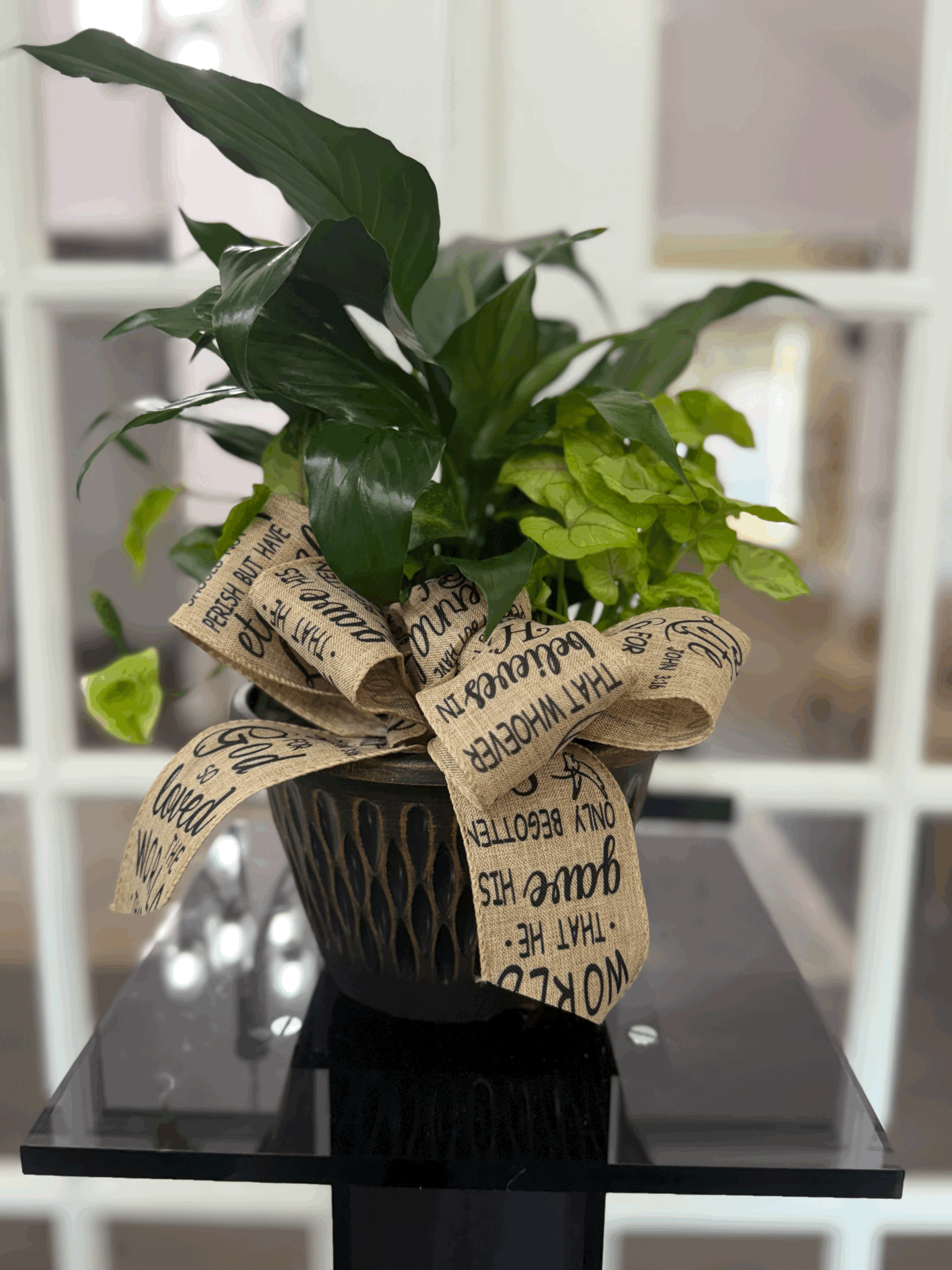 Plant Dish Garden