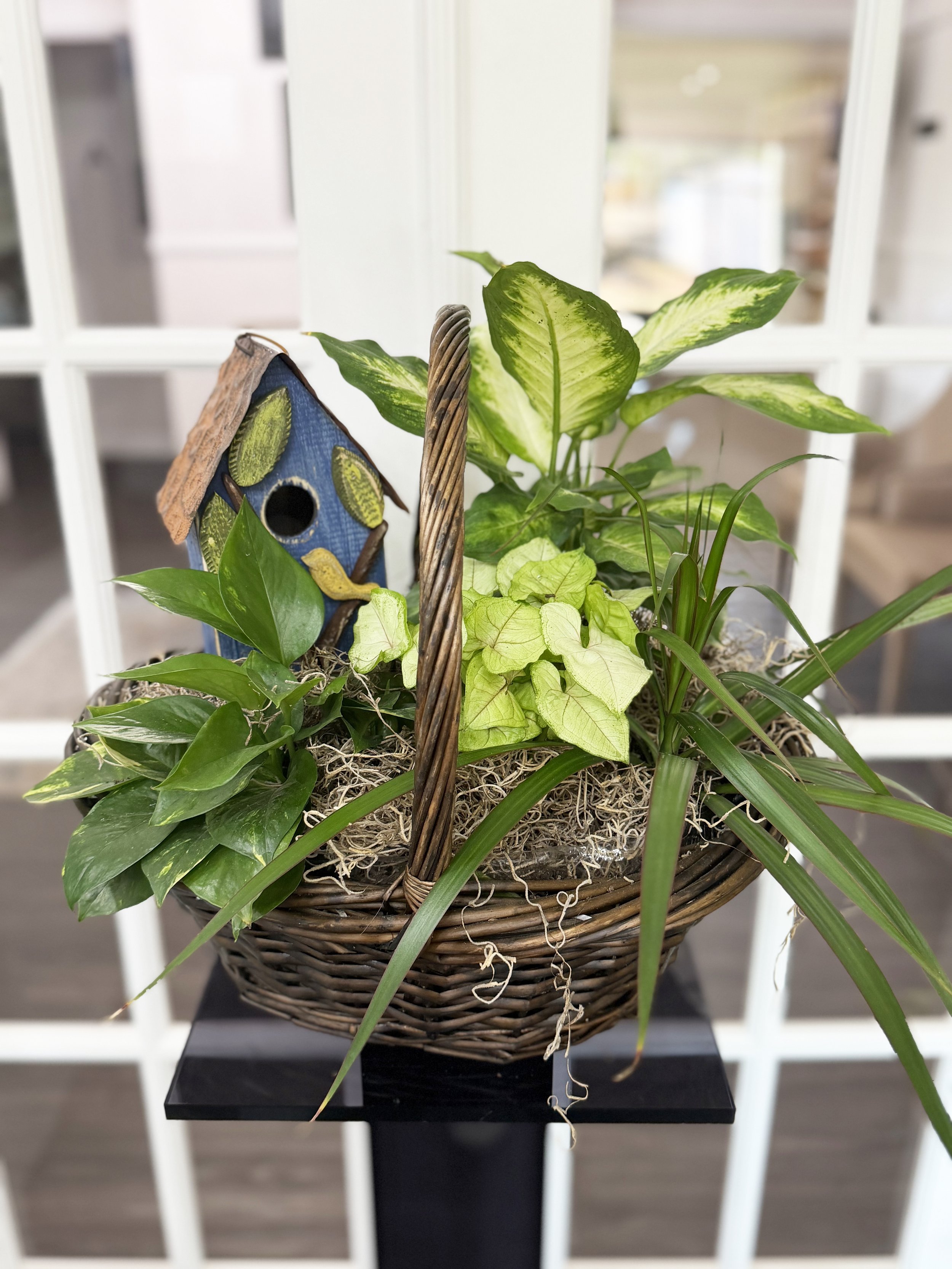 Basket of green houseplants with a birdhouse decoration inside, on a black stand in front of a white lattice.