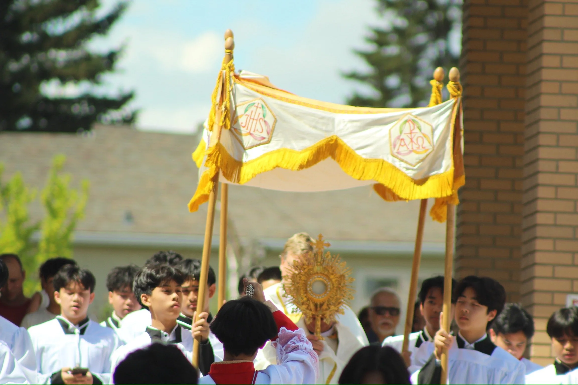 Solemnity of the Assumption of Mary