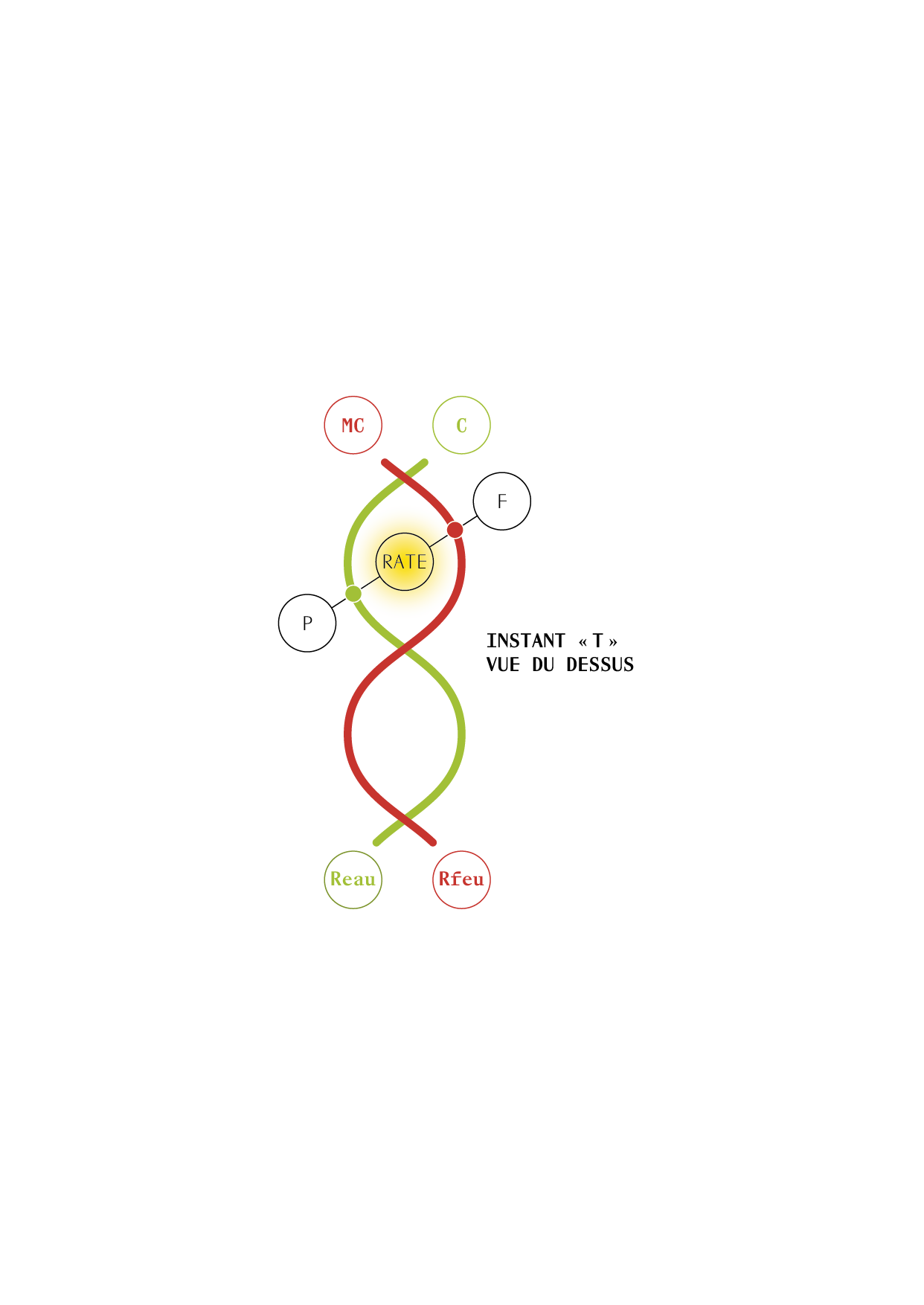 TAO_ILLUSTRATIONS_P118_1.png
