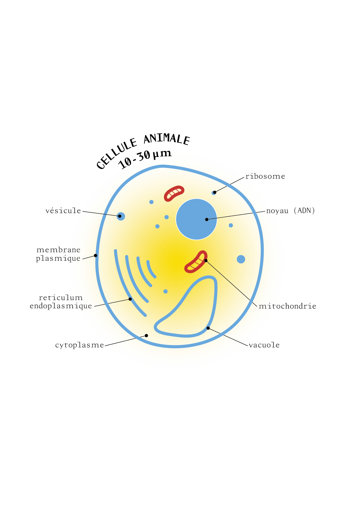 TAO_ILLUSTRATIONS_P18_2.png
