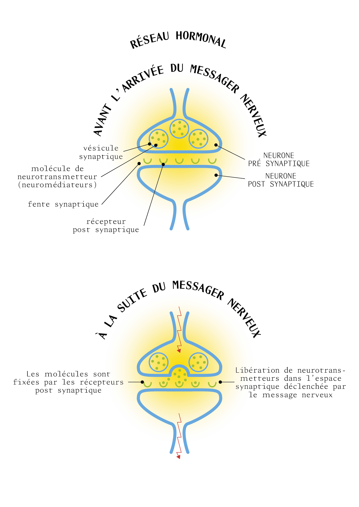 TAO_ILLUSTRATIONS_P23_1.png