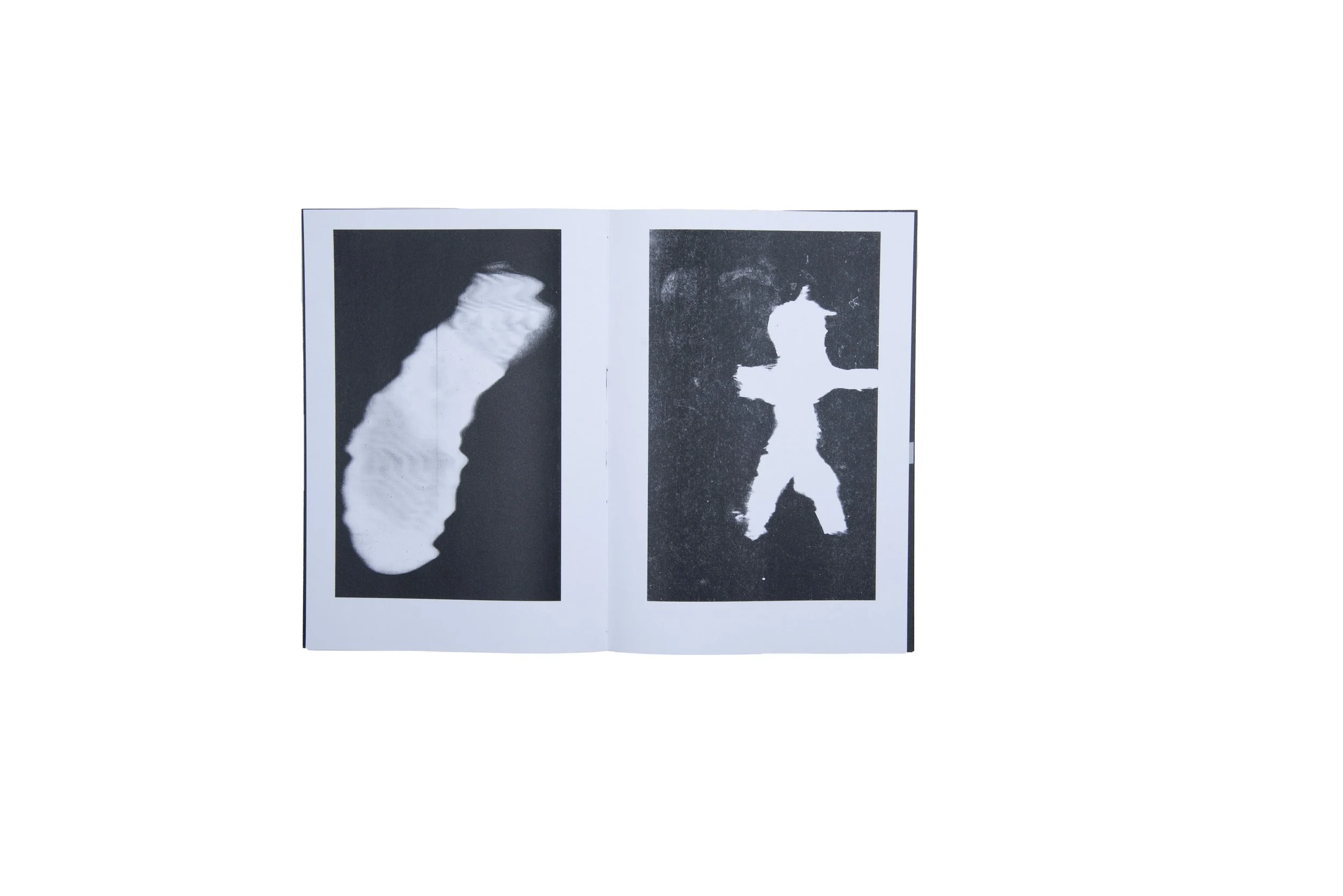 SS_DIPLOME_8.jpg