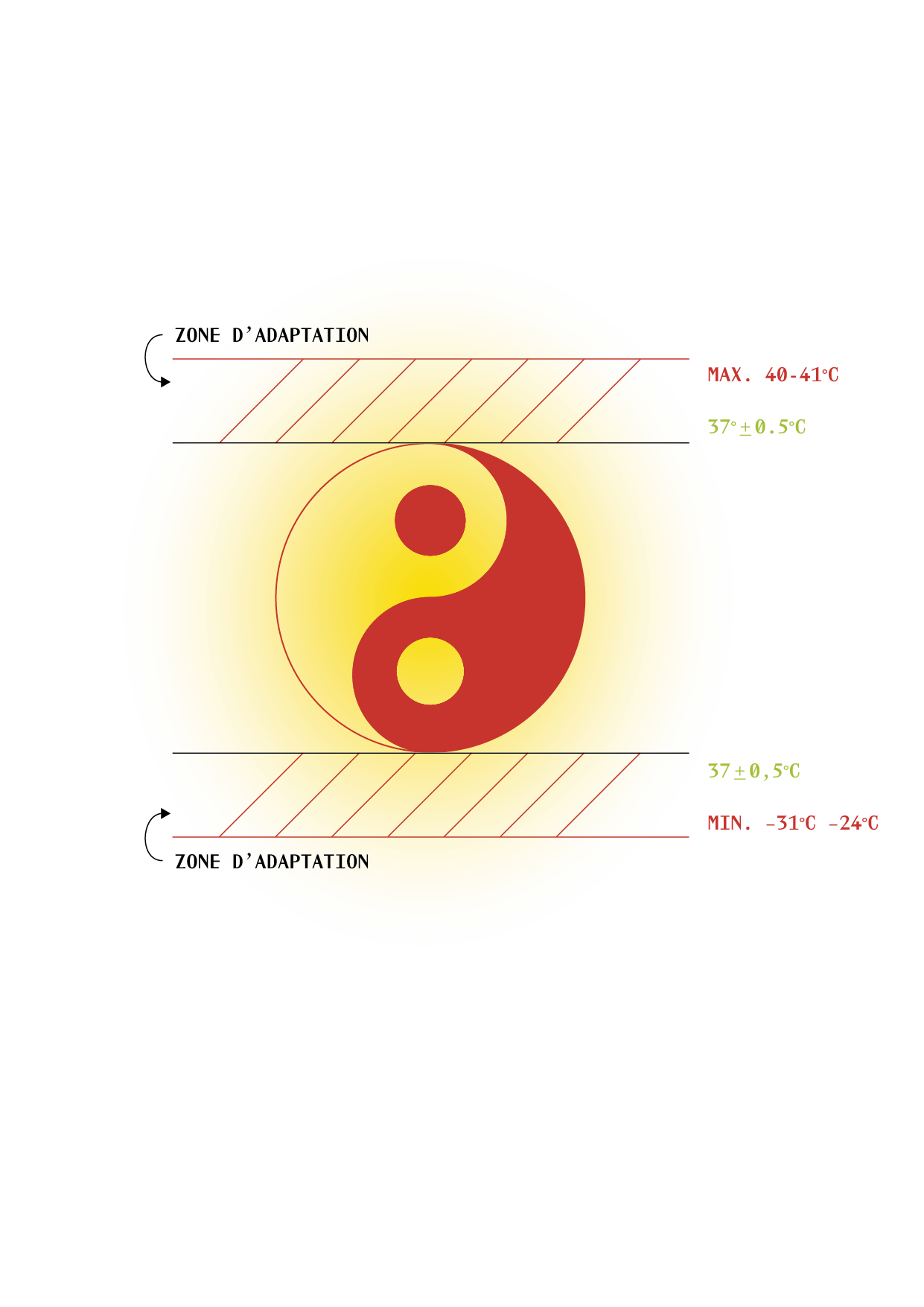 TAO_ILLUSTRATIONS_P40.png