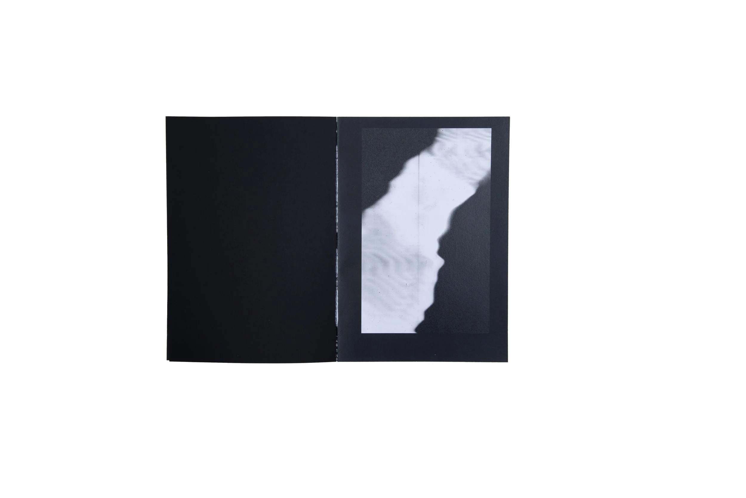 SS_DIPLOME_4.jpg