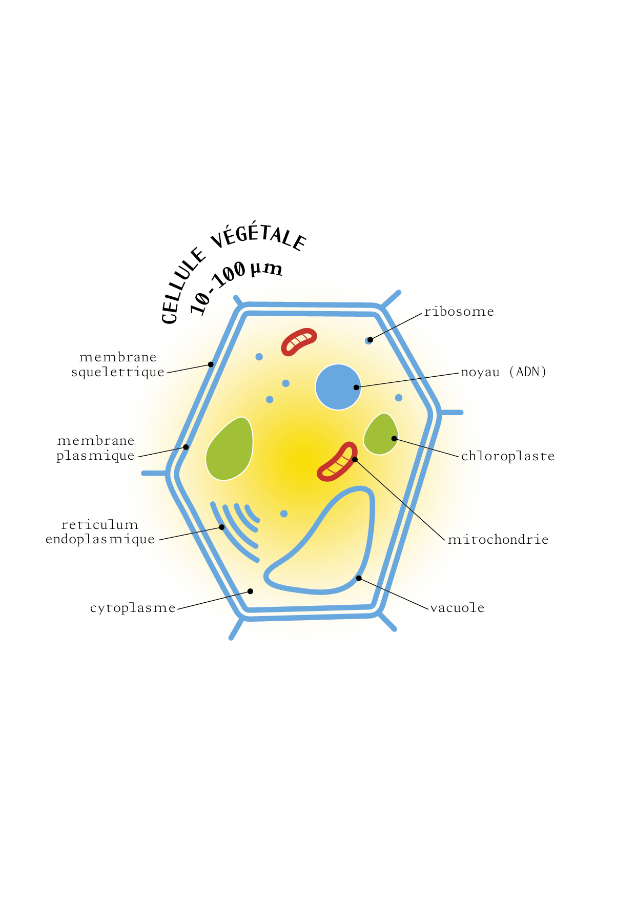 TAO_ILLUSTRATIONS_P18_1.png