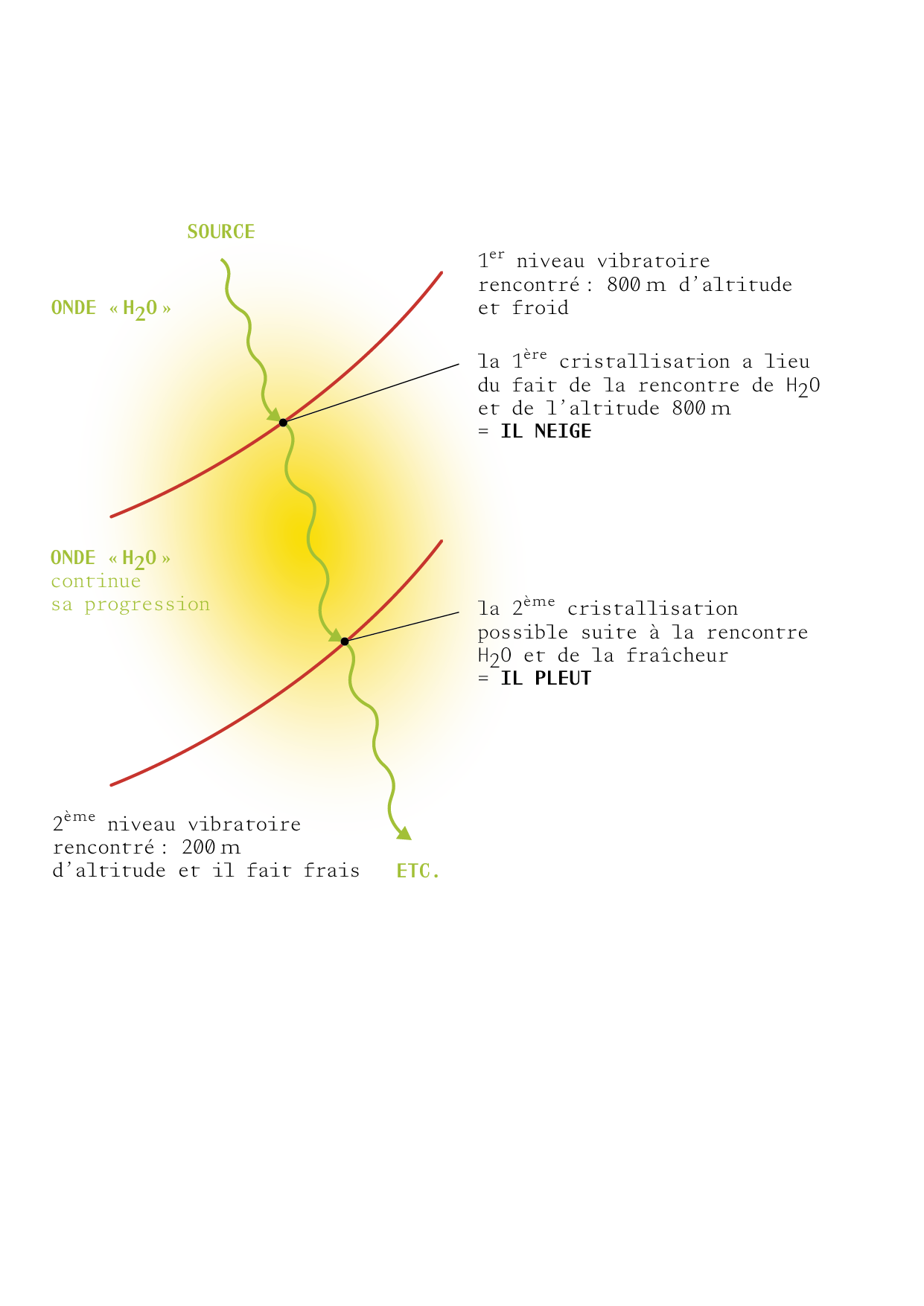 TAO_ILLUSTRATIONS_P45.png