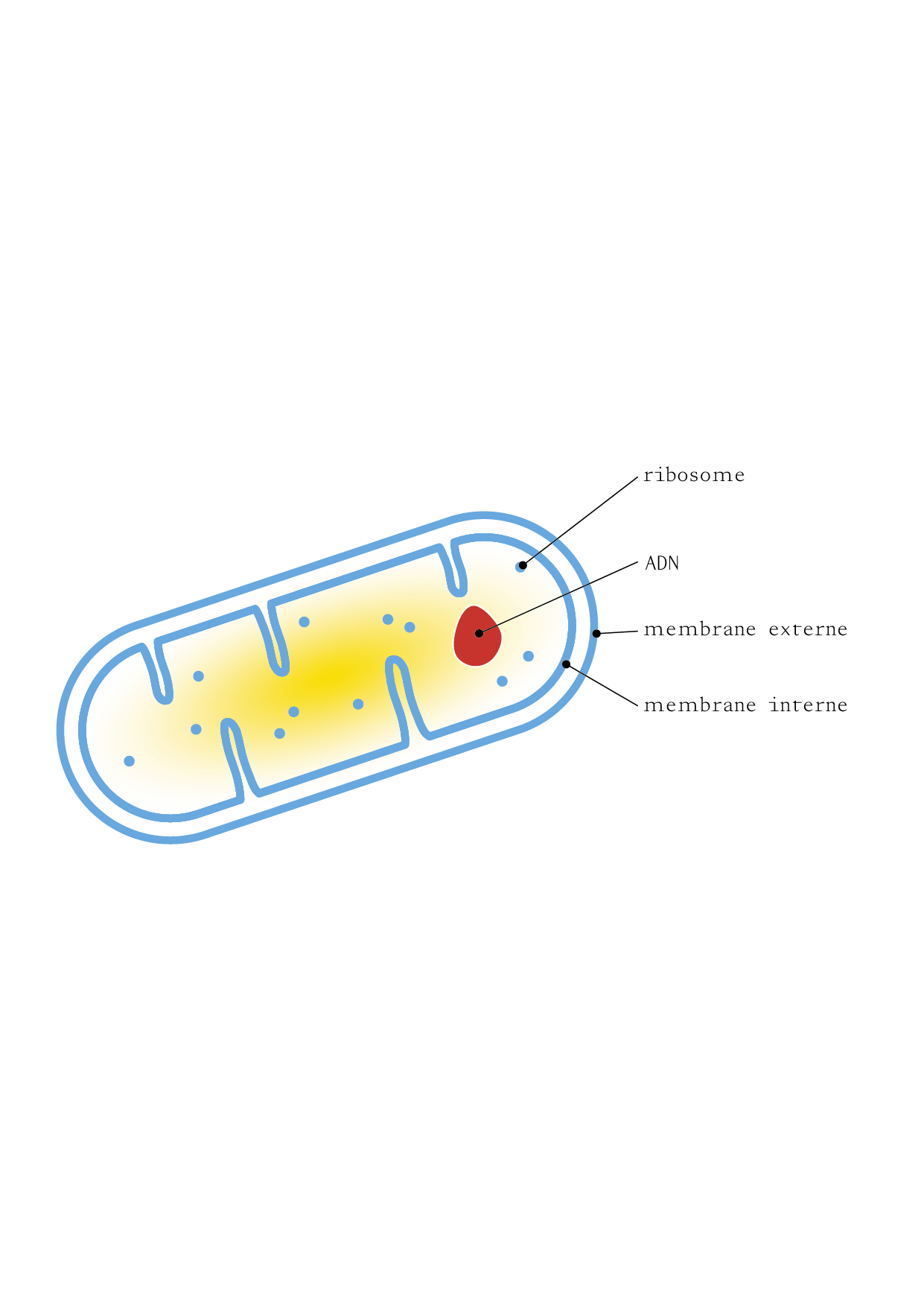TAO_ILLUSTRATIONS_P20_2.png