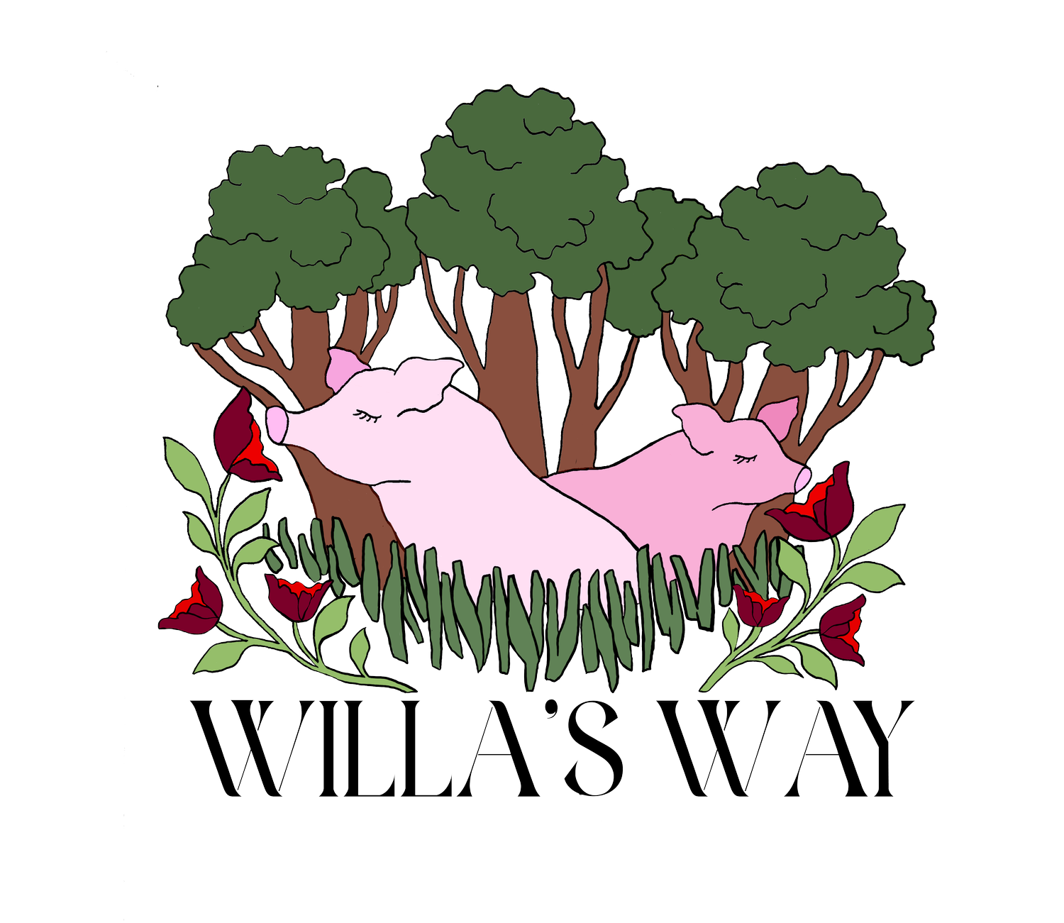 Willa's Way