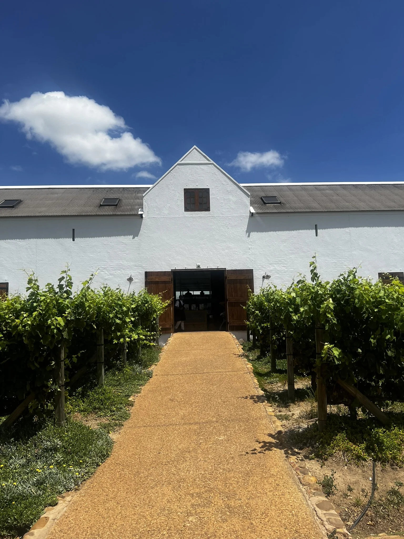 White barn with open wooden doors, surrounded by green vineyards, under a blue sky with a few clouds.