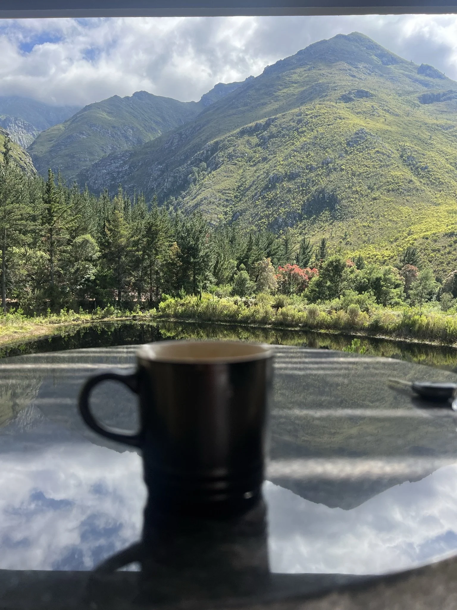 A black coffee mug on a reflective surface with a scenic mountain landscape, trees, and a partly cloudy sky in the background.